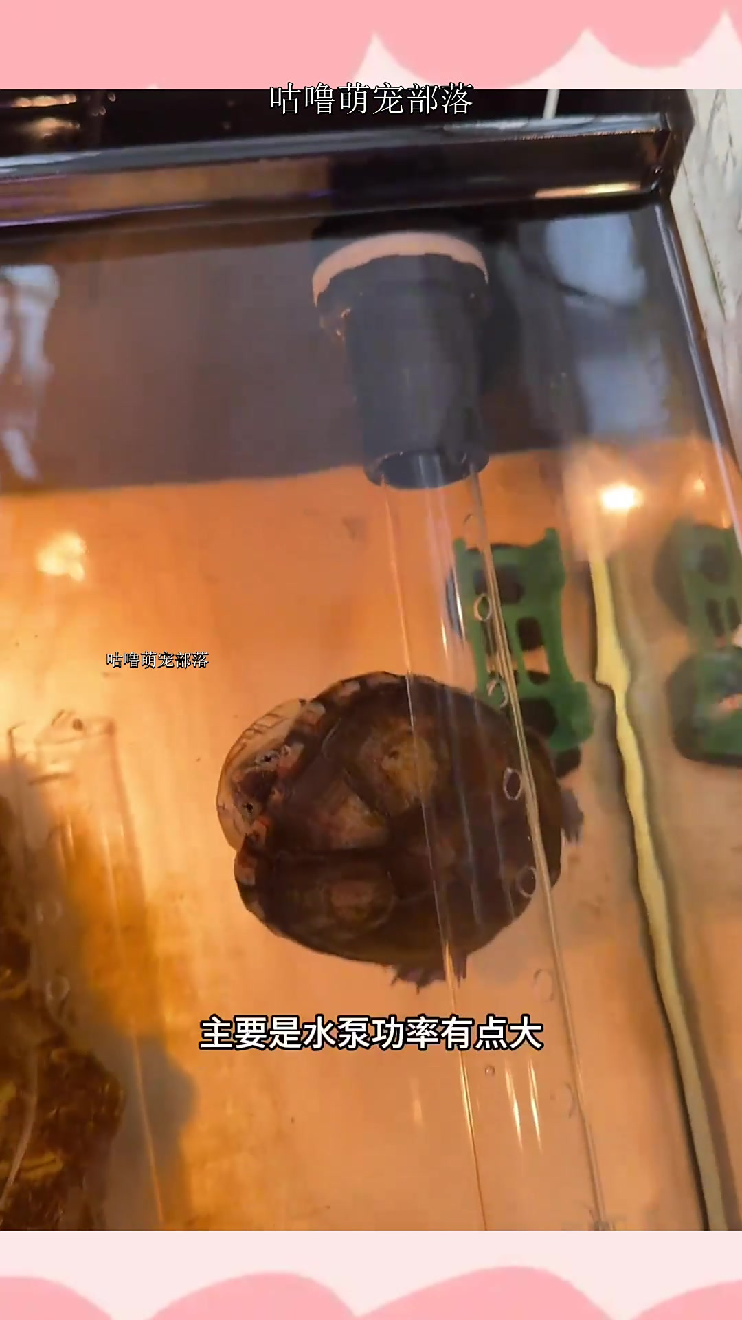 背滤缸万象出水改造雨淋出水教程,改完之后水流分散,小乌龟终于