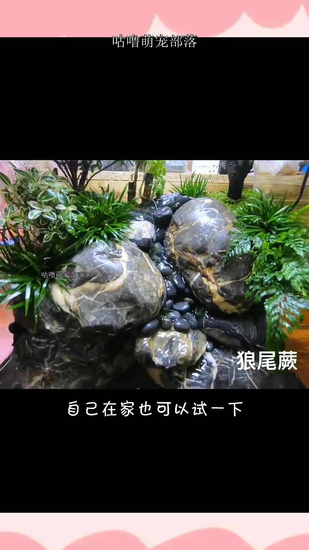 30cm水陆缸制作教程