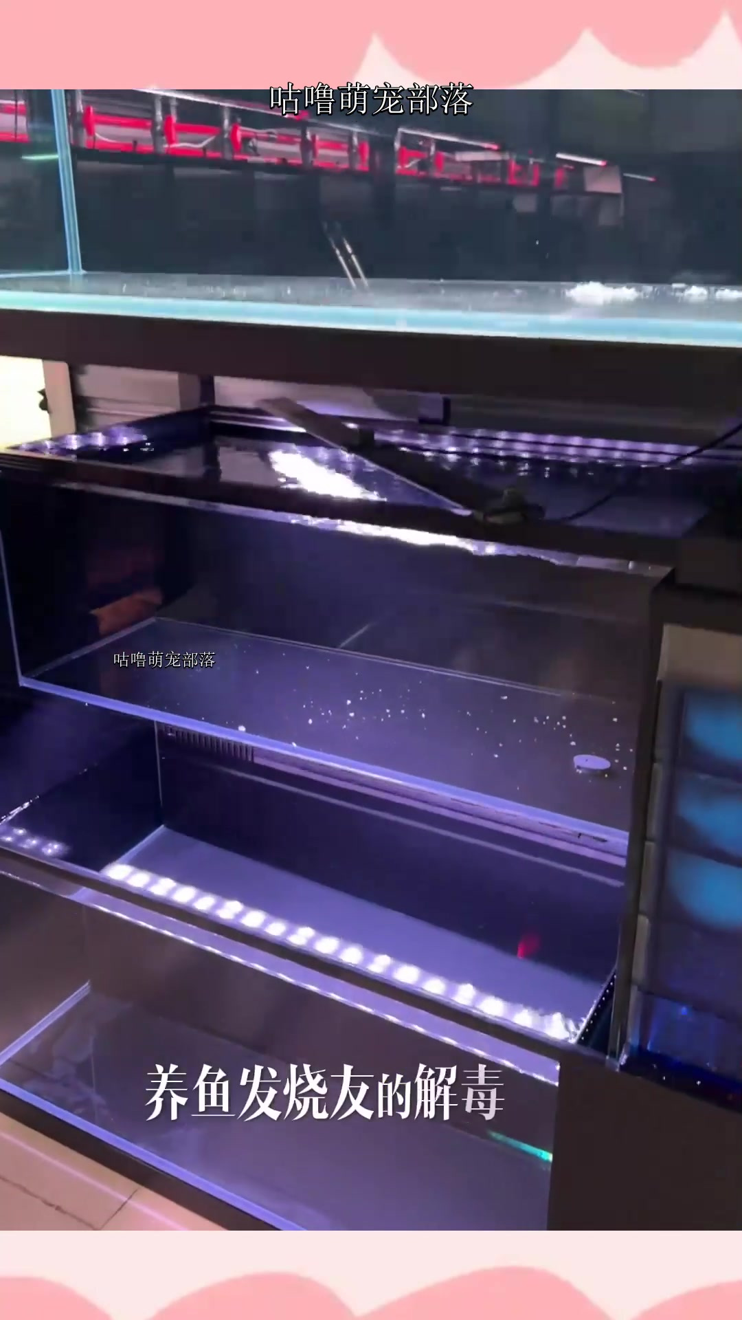 三层串联底滤鱼缸,给养鱼爱好者提供了更宽广的想象空间