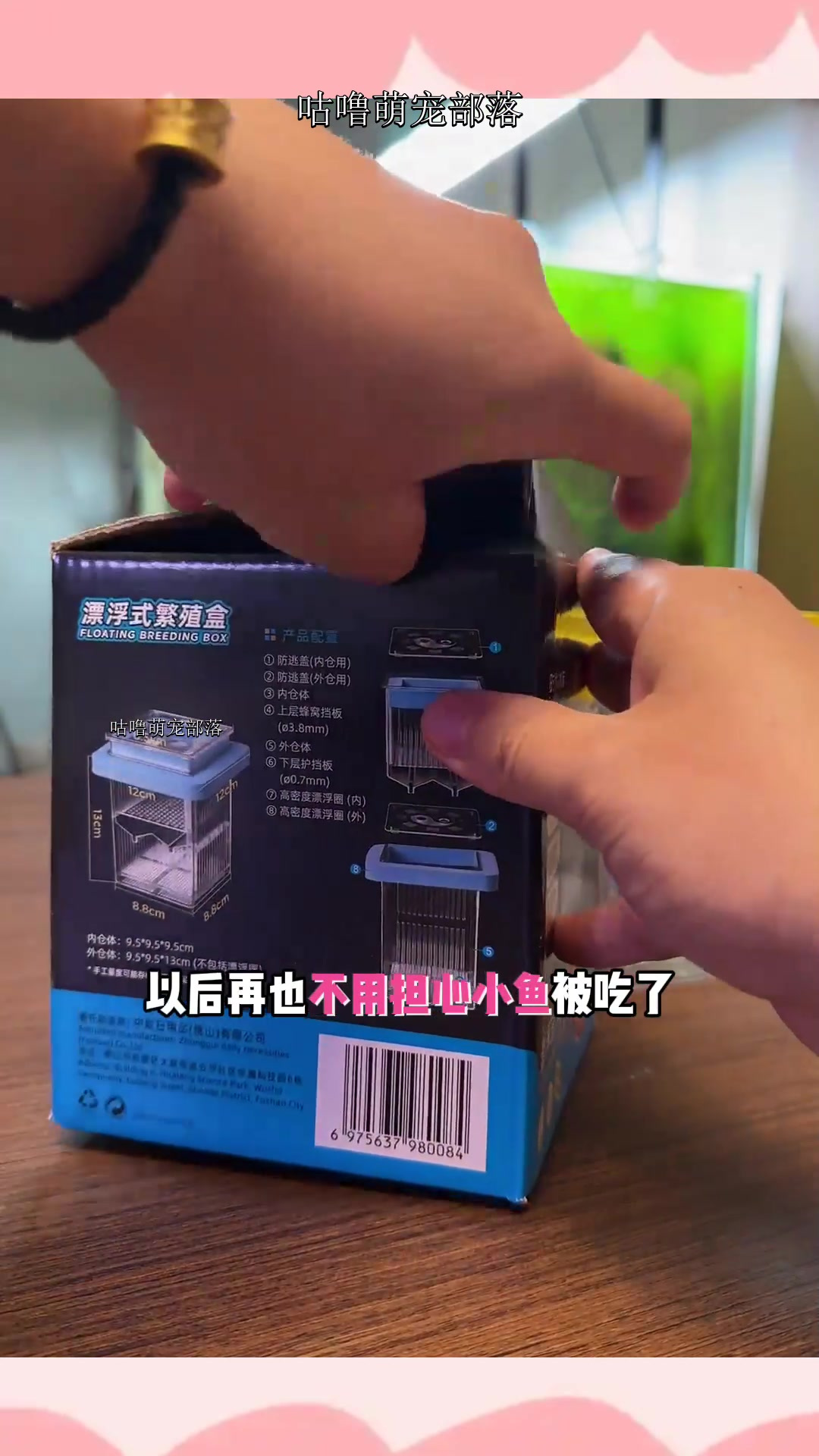 孔雀鱼繁殖用隔离盒,这是我接触过最好的了,朋友们评论区晒图