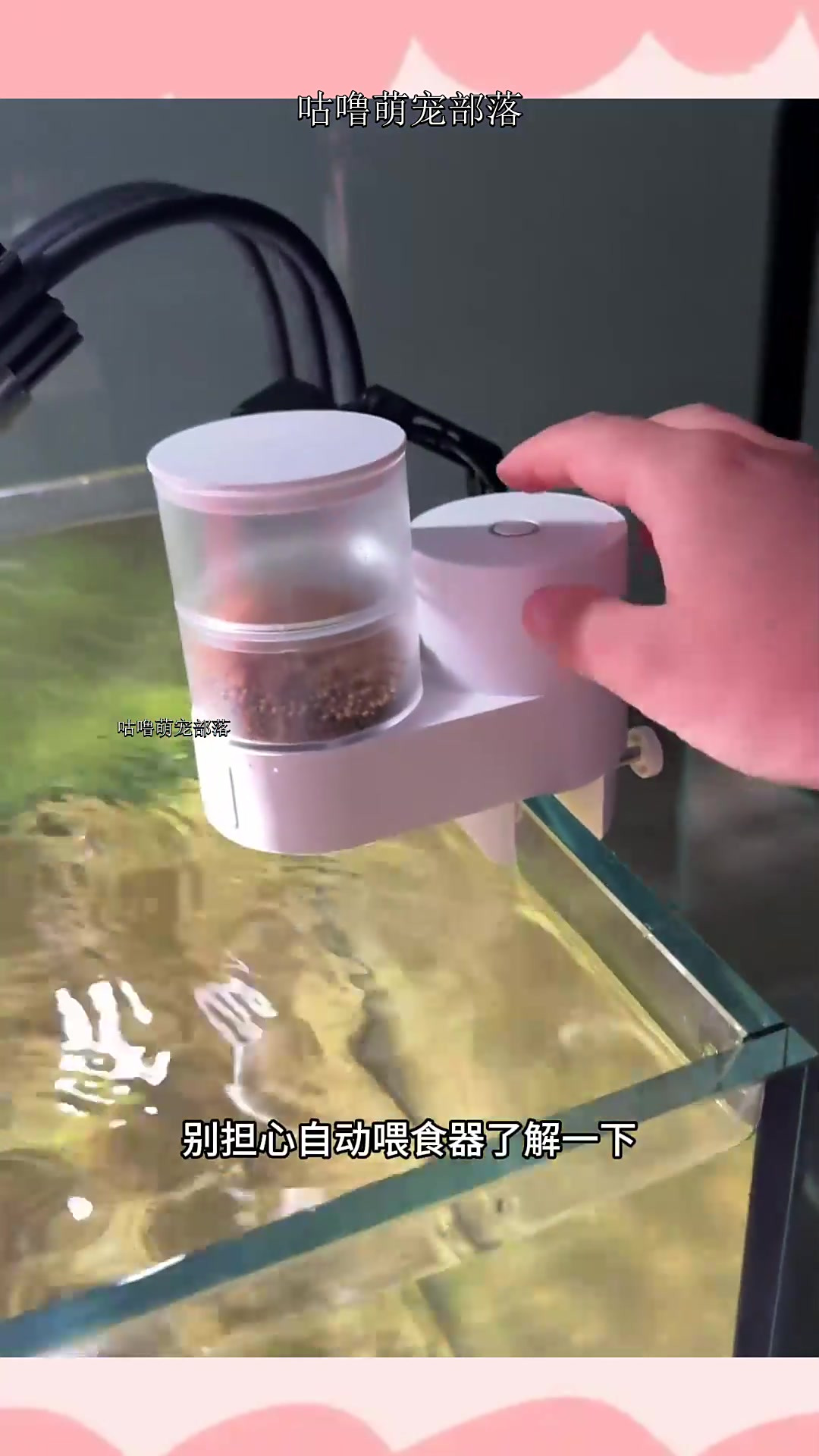 它乐鱼缸自动喂食器,更加防潮,更加智能,细节之处才能体现设计