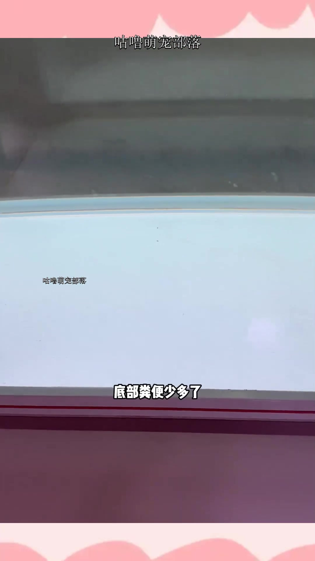 鱼缸出水口用透明管子改造完确实好看不少,喜欢的朋友可以试试