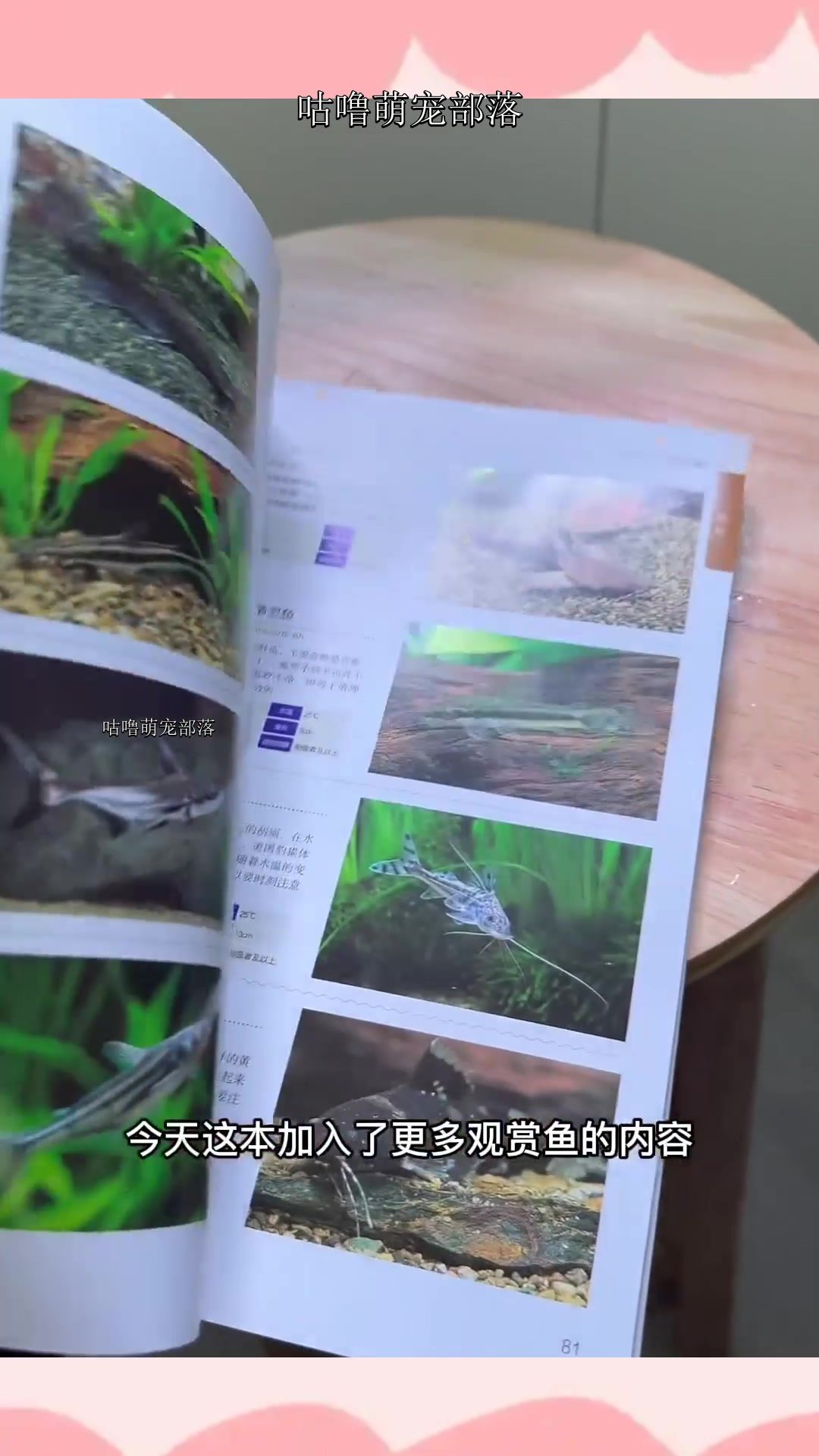 一本介绍水草造景和热带鱼饲养的书,适合刚接触养鱼的朋友入门