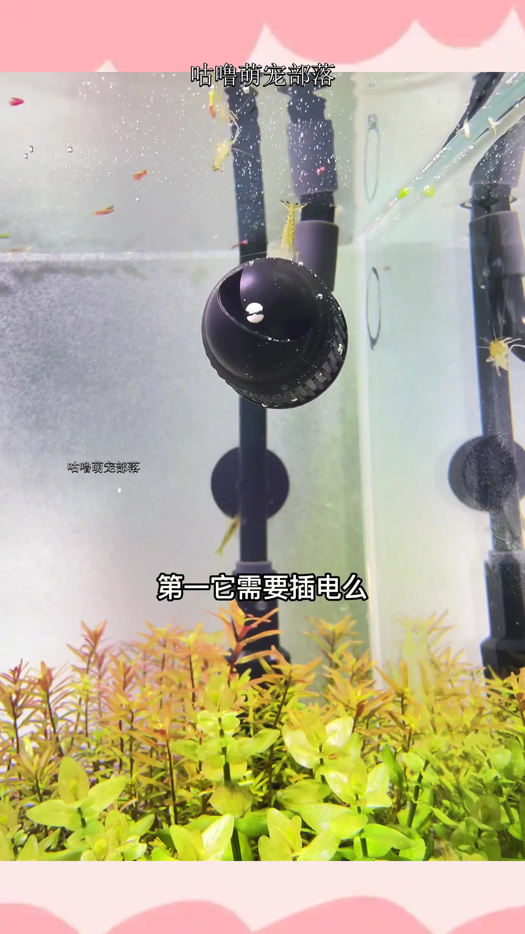 不插电旋转造流头,改善鱼缸水循环