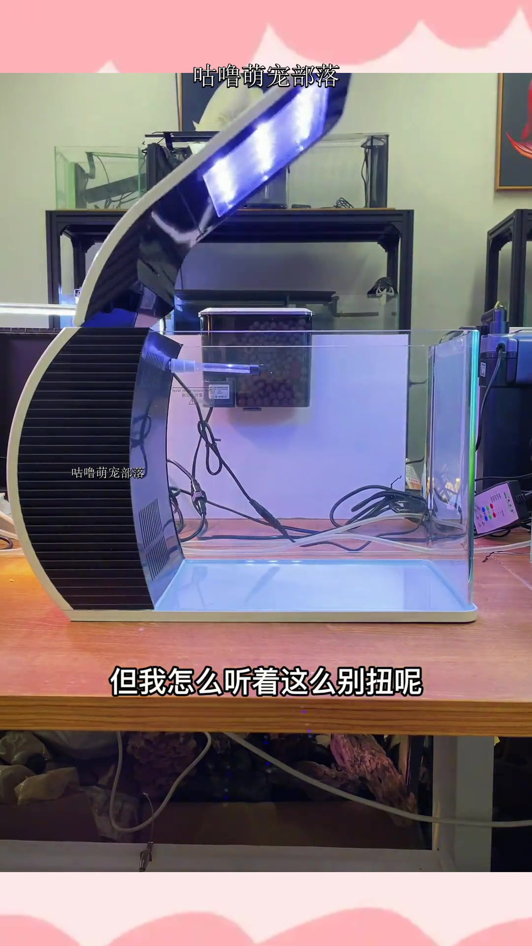 宇宙风格小鱼缸,养点啥鱼比较好?