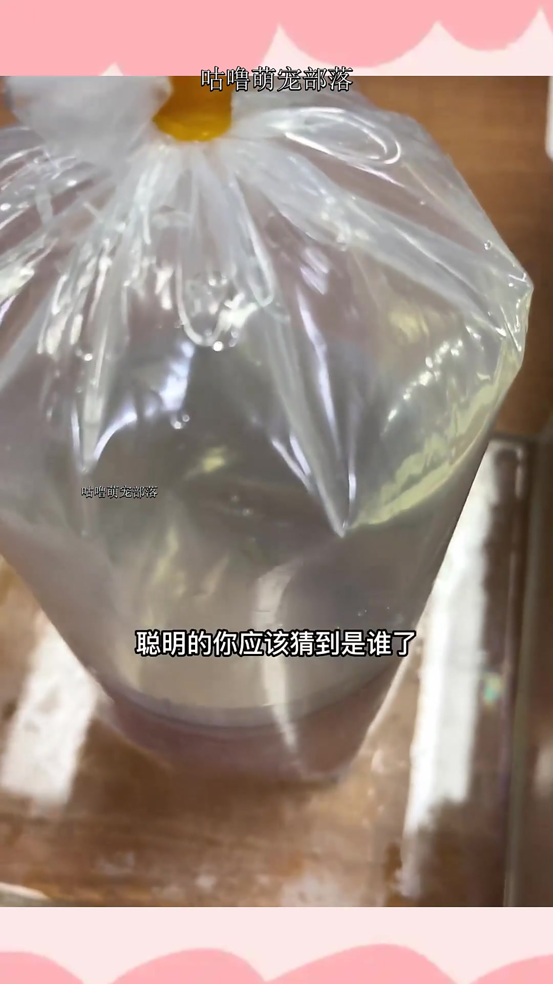 尼莫、马林和多莉都到了,感觉怪怪的,晚上会不会有鱼光临我家