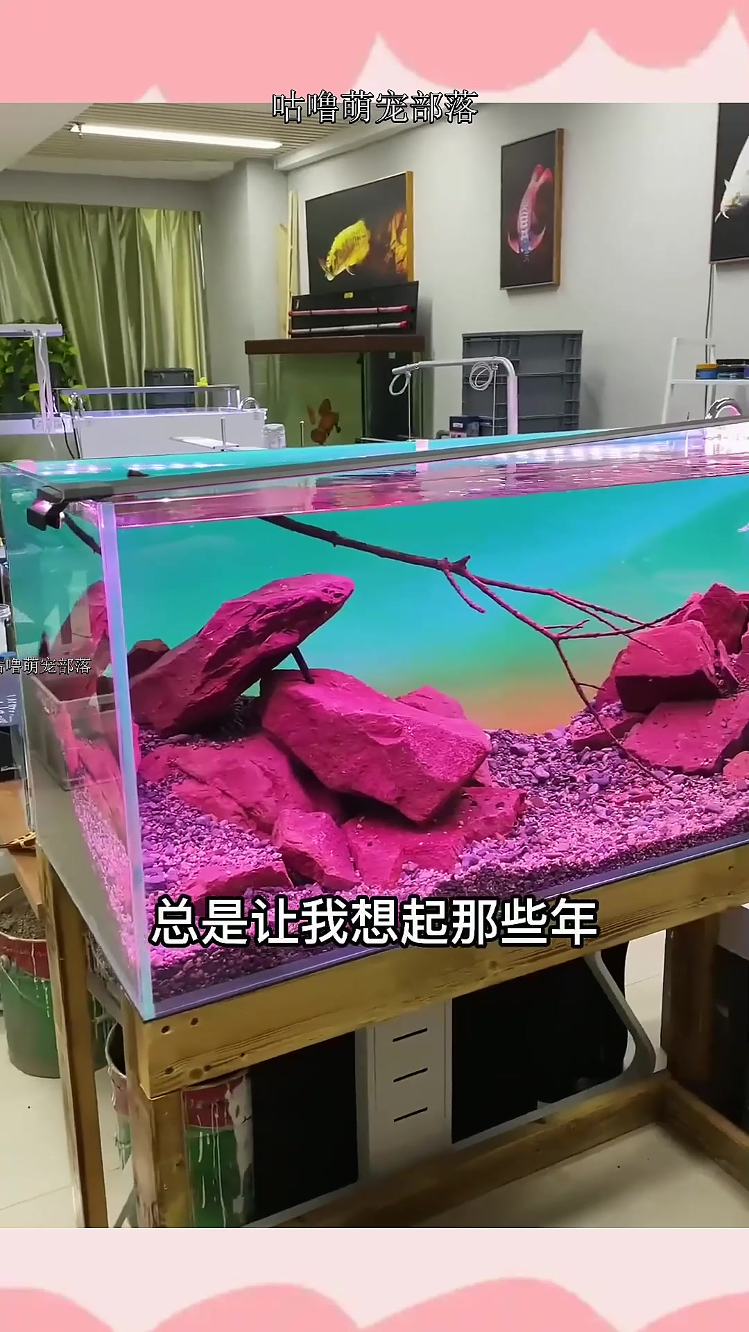 给鱼缸换个灯,波光粼粼的效果