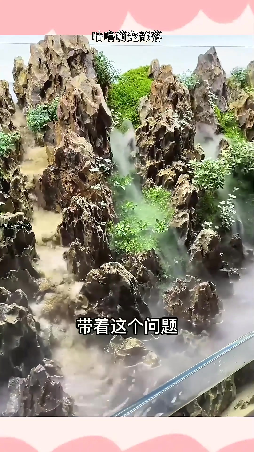 想学鱼缸造景?不同风格开缸教学视频,即将到达,干货满满~