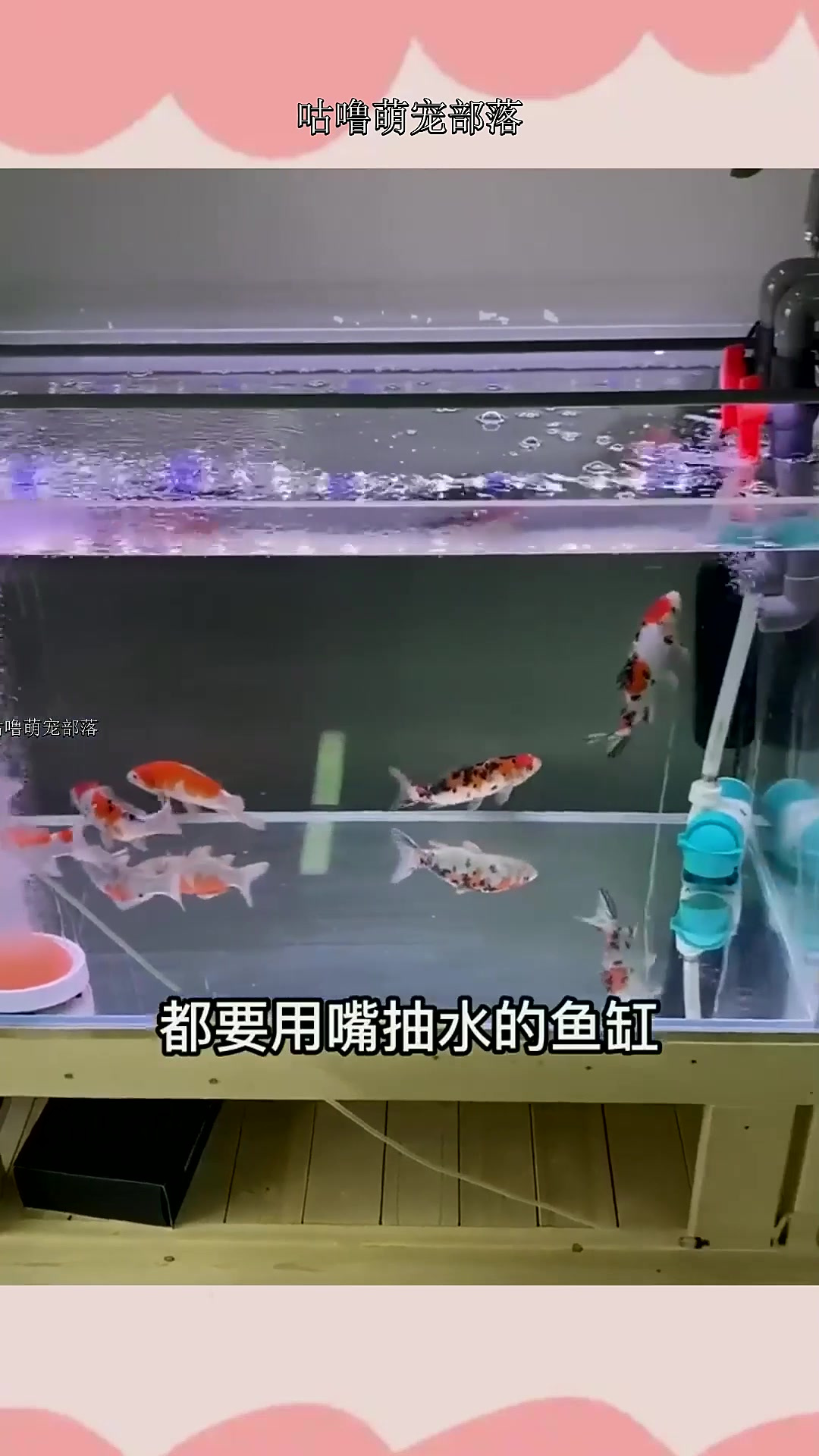 每次断电都要用嘴抽水的鱼缸见过吗?外置水泵+面吸改装失败!