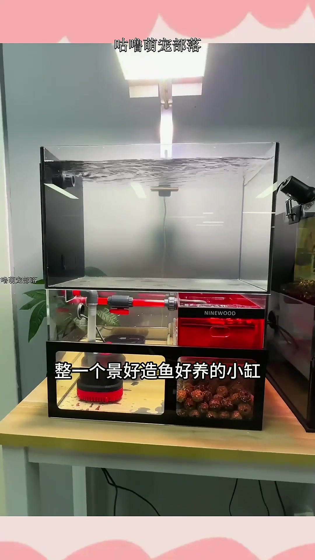 开一个造景简单的溪流鱼缸,有手就会,听说鳑鲏鱼繁殖挺有意思~