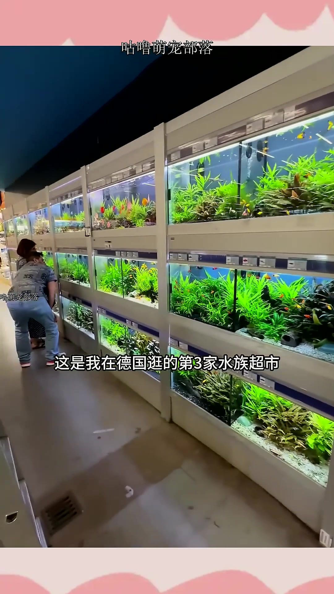 在德国逛的第3家水族店,接下来带鱼友们去看东南亚观赏鱼!