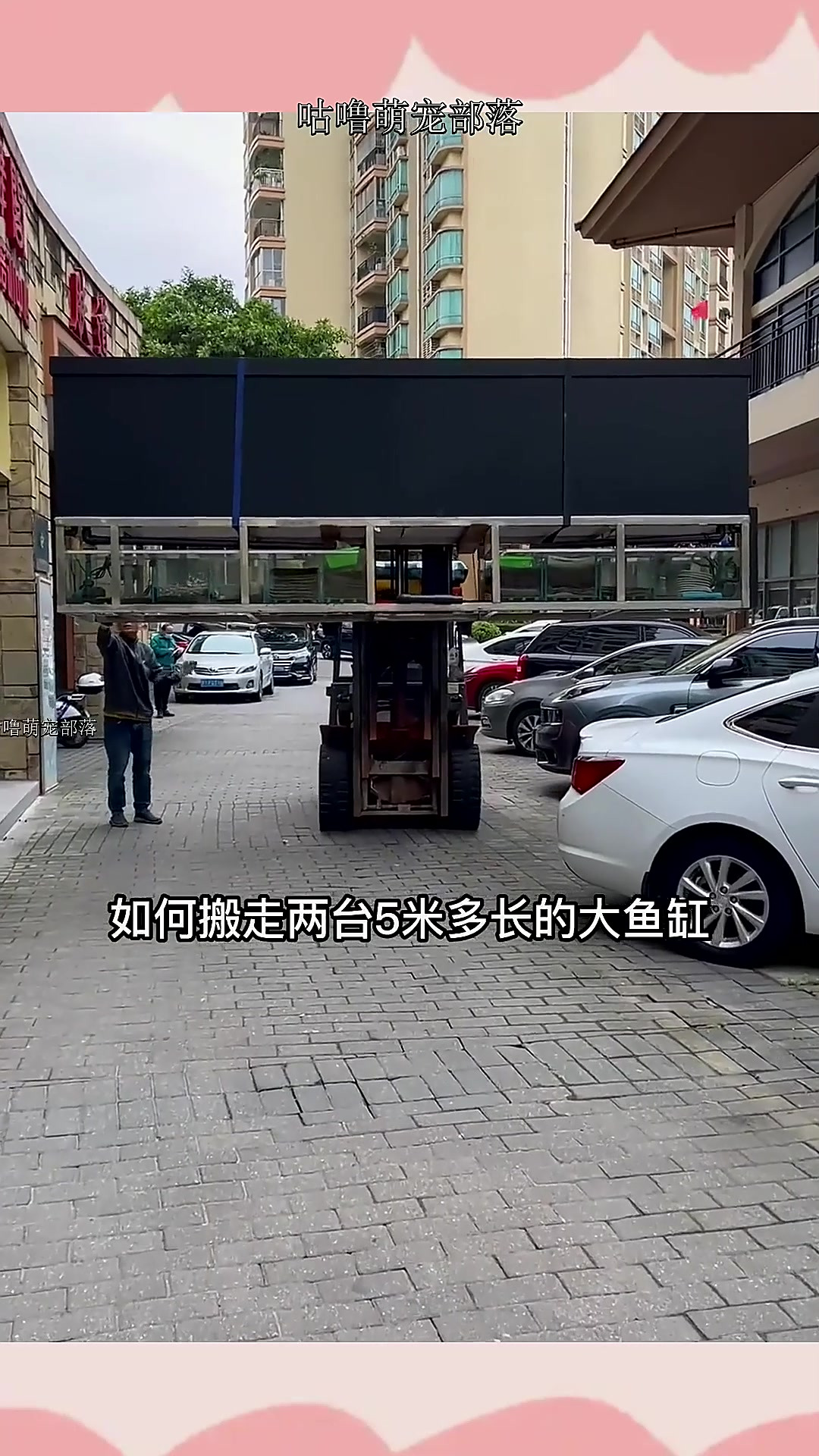 如何搬走5米多长的大型鱼缸,2台大鱼缸只换了1只巴西龟,离谱!