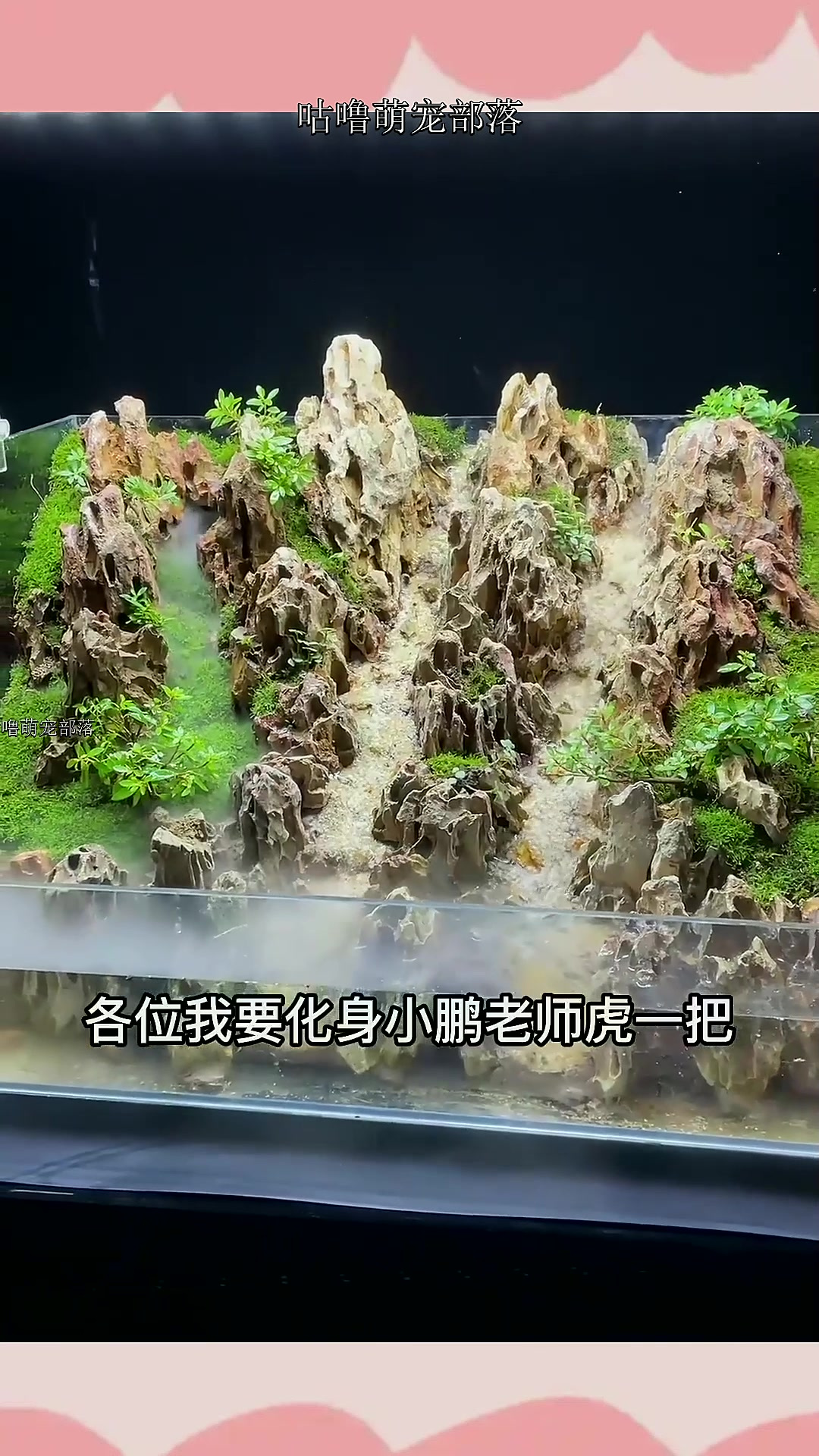 水陆景观鱼缸制作过程,放心,看完就是脑子会了,但手不会