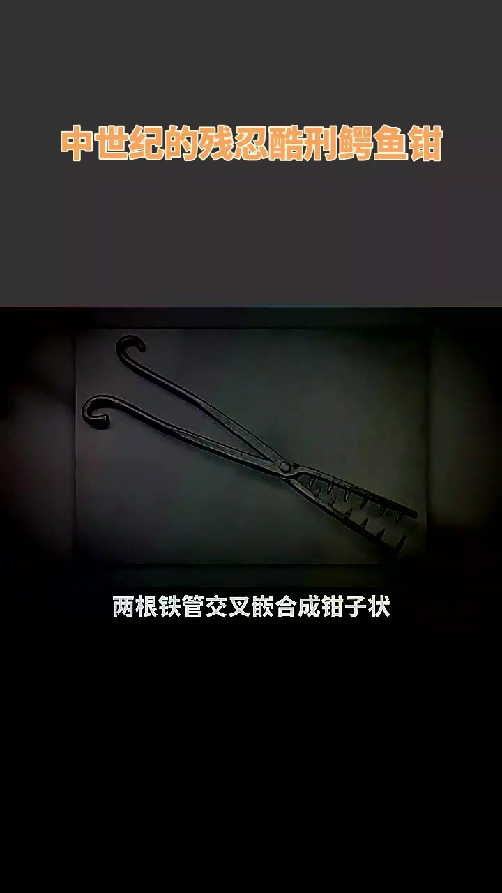 中世纪的残忍酷刑鳄鱼钳