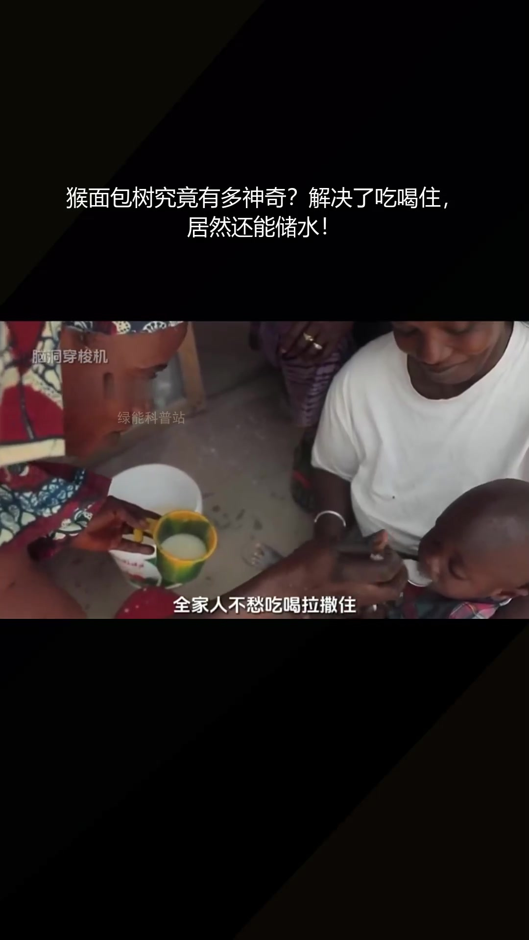 猴面包树究竟有多神奇?解决了吃喝住,居然还能储水!