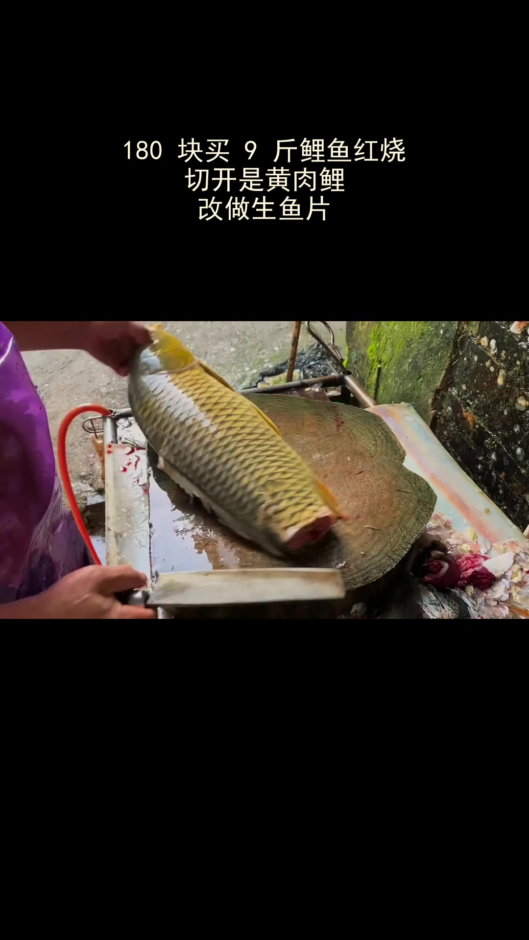 180 块买 9 斤鲤鱼红烧,切开是黄肉鲤,改做生鱼片
