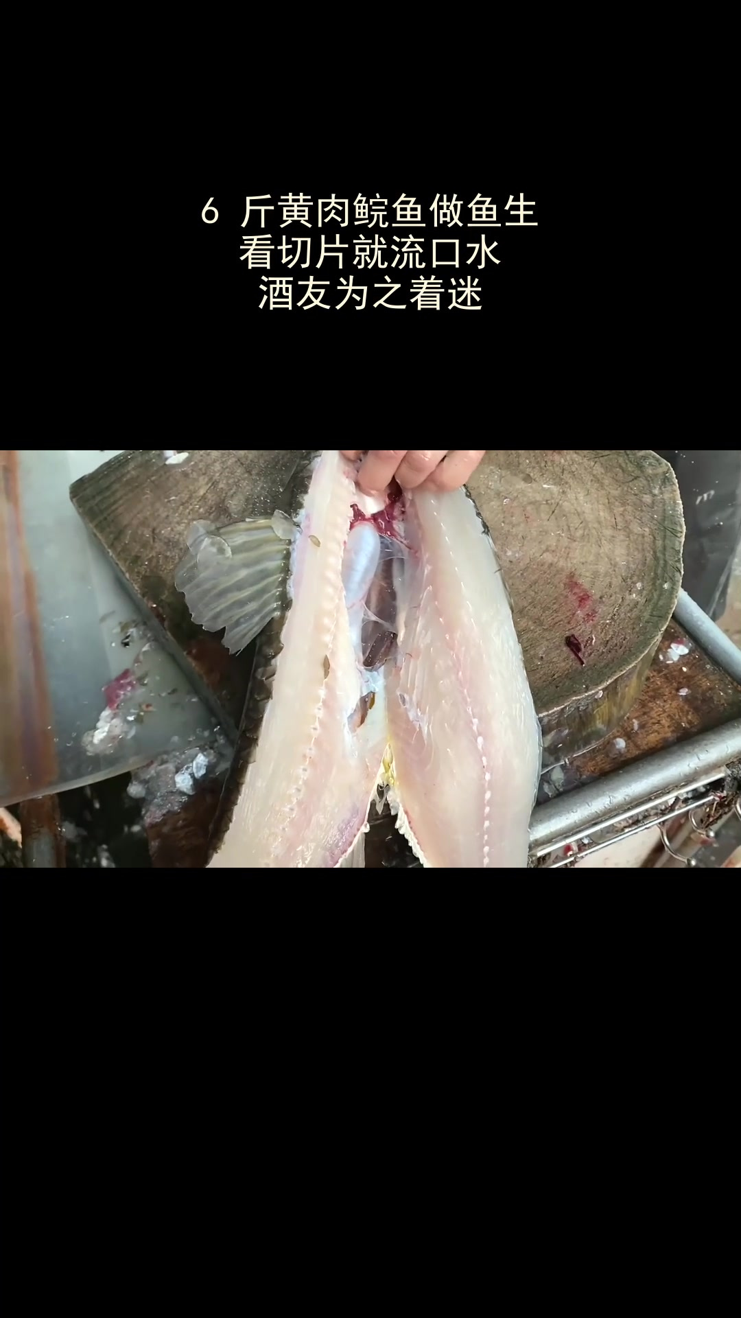 6 斤黄肉鲩鱼做鱼生,看切片就流口水,酒友为之着迷