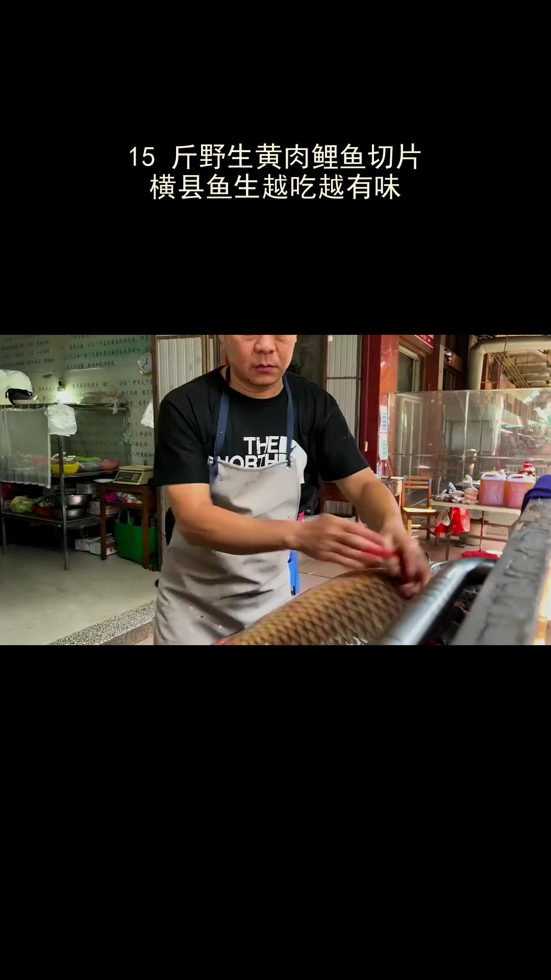 15 斤野生黄肉鲤鱼切片,横县鱼生越吃越有味