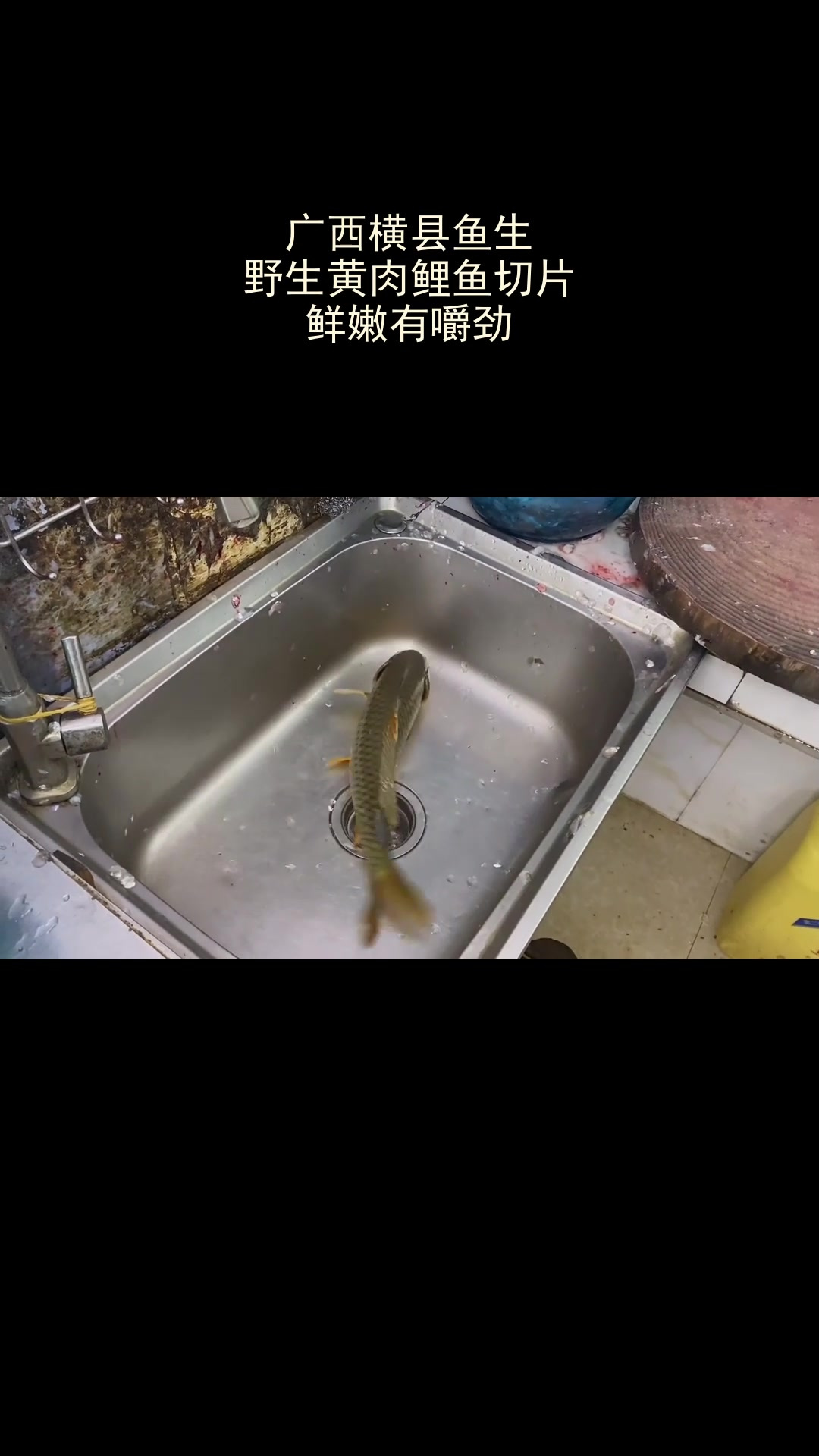 广西横县鱼生,野生黄肉鲤鱼切片,鲜嫩有嚼劲