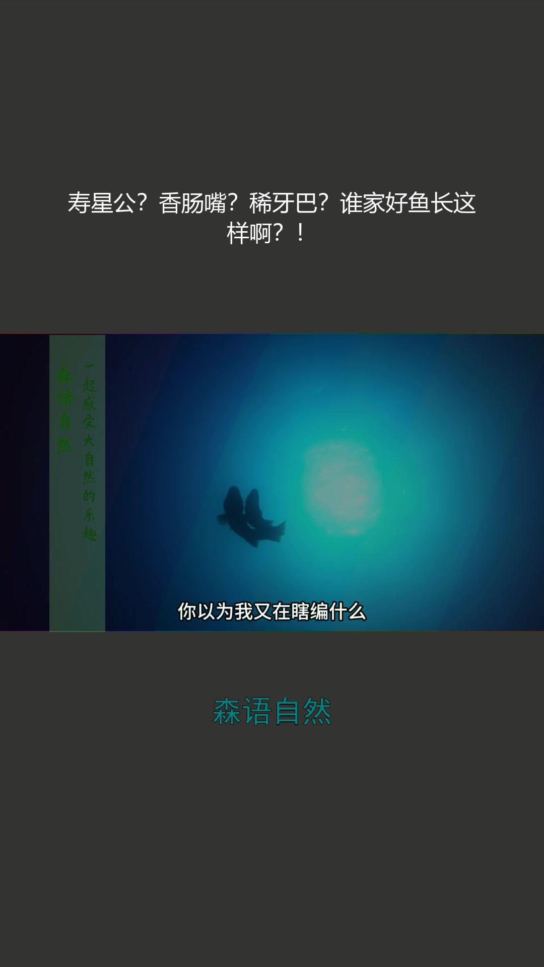 寿星公?香肠嘴?稀牙巴?谁家好鱼长这样啊?!