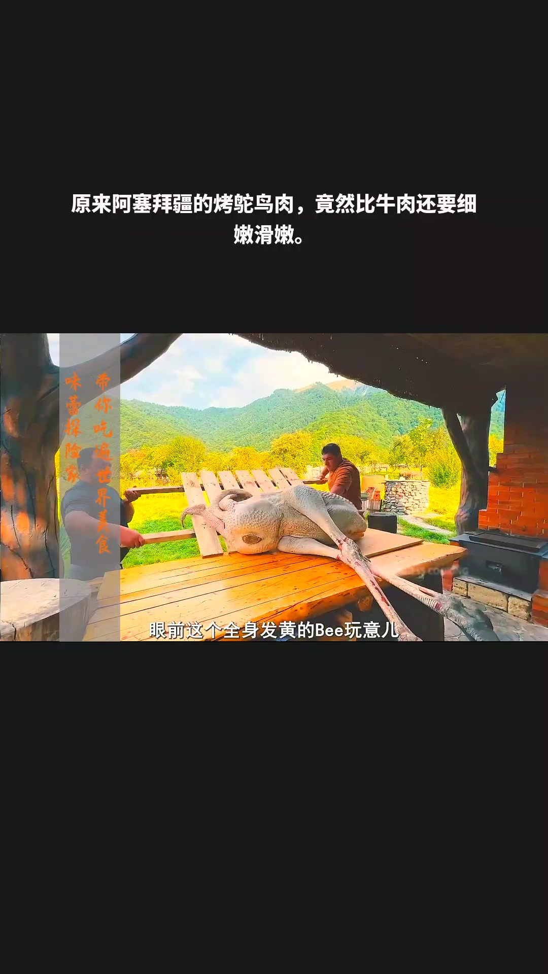 原来阿塞拜疆的烤鸵鸟肉,竟然比牛肉还要细嫩滑嫩