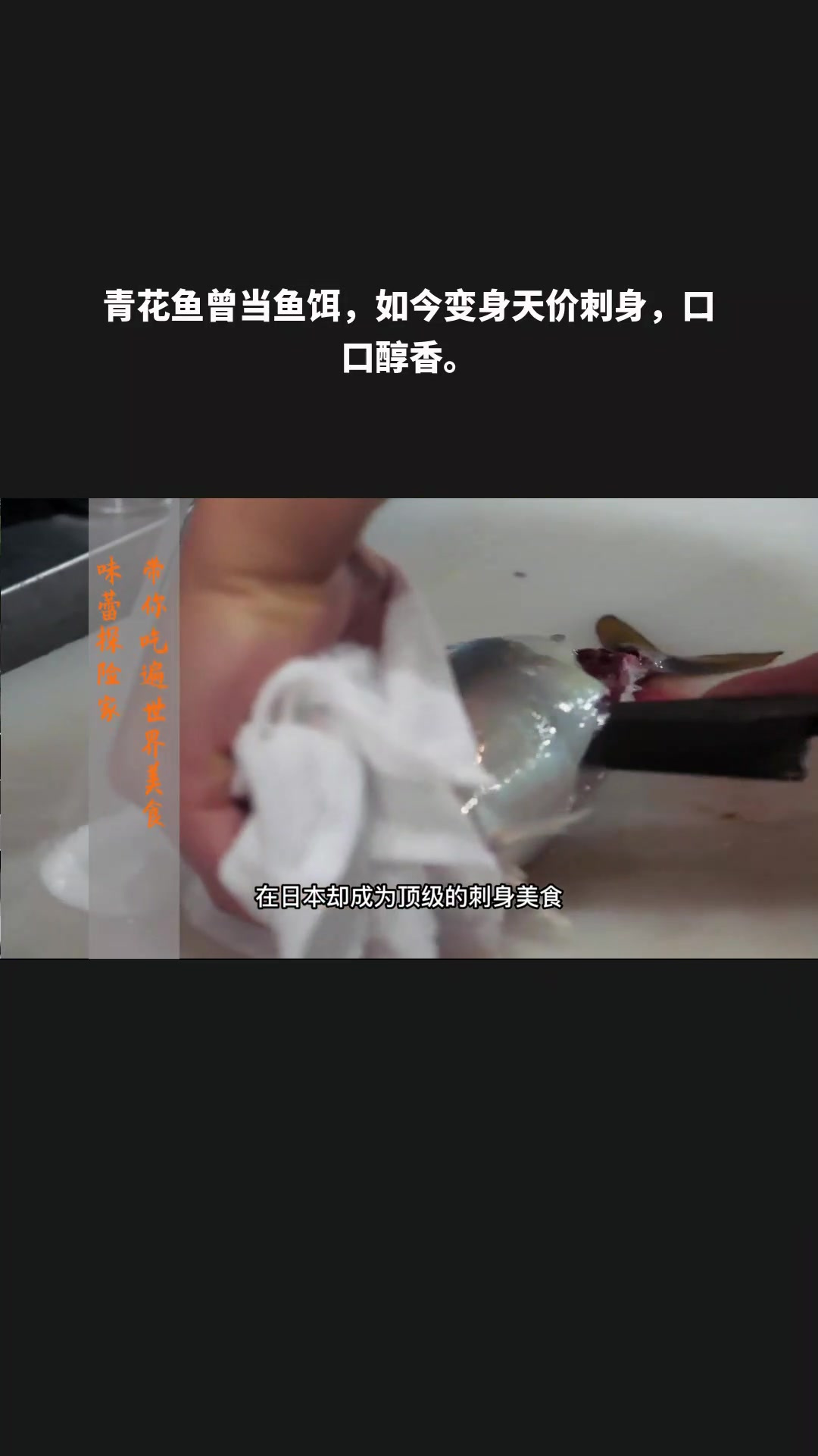 青花鱼曾当鱼饵,如今变身天价刺身,口口醇香