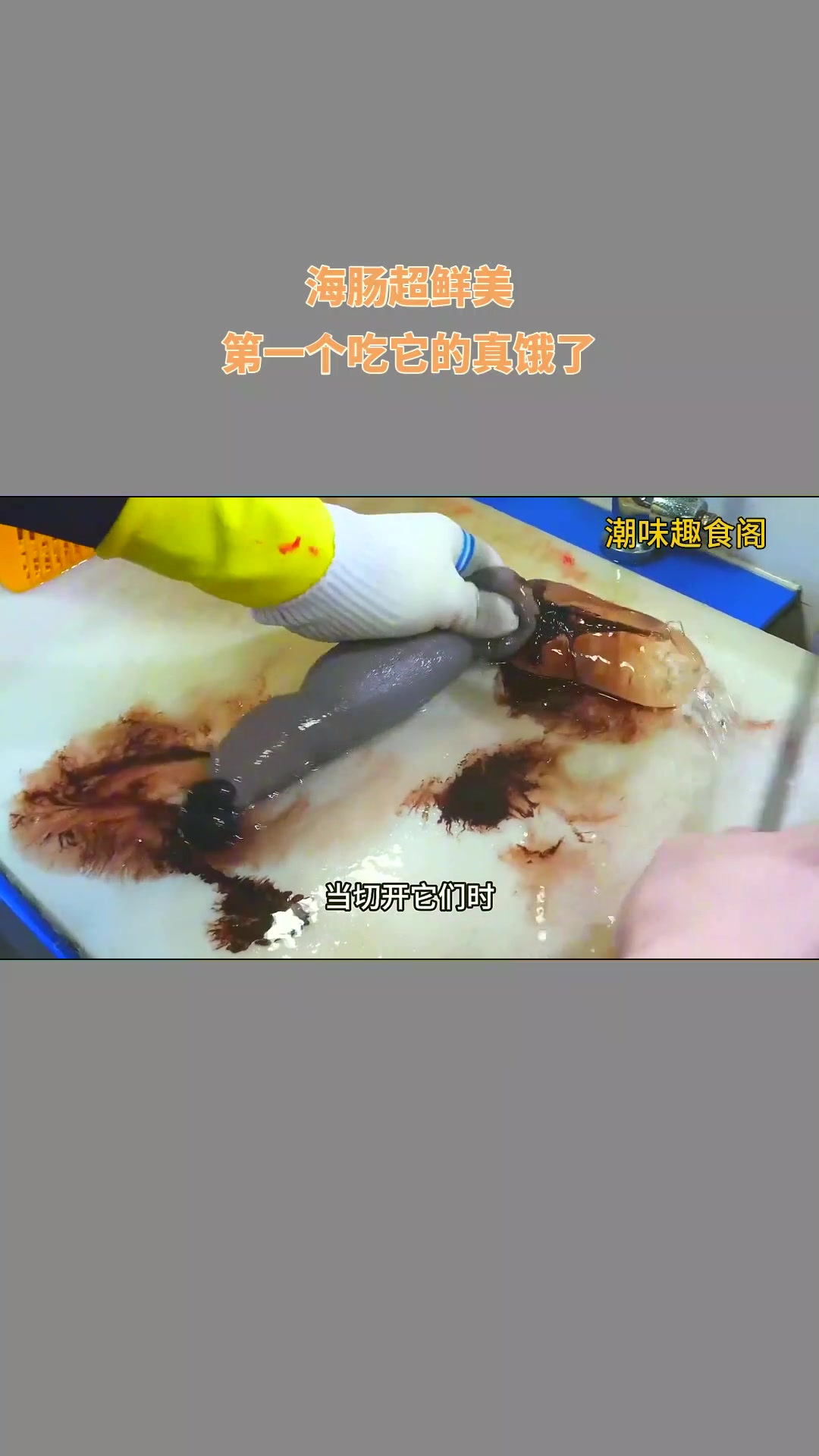 海肠超鲜美,第一个吃它的真饿了!