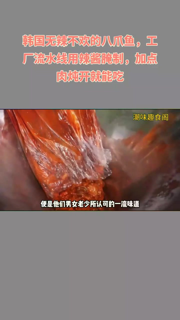 韩八爪鱼够辣,工厂辣酱腌,加肉炖香!