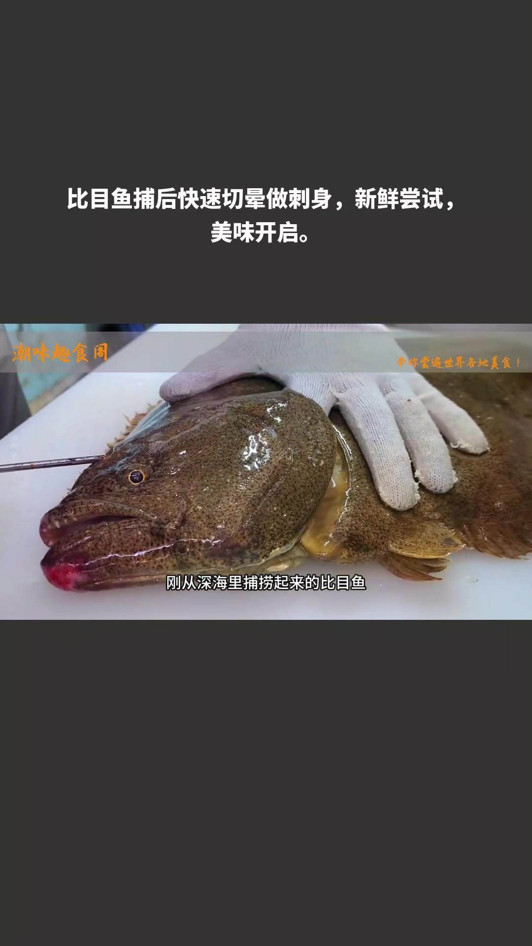 比目鱼捕后快速切晕做刺身,新鲜尝试,美味开启