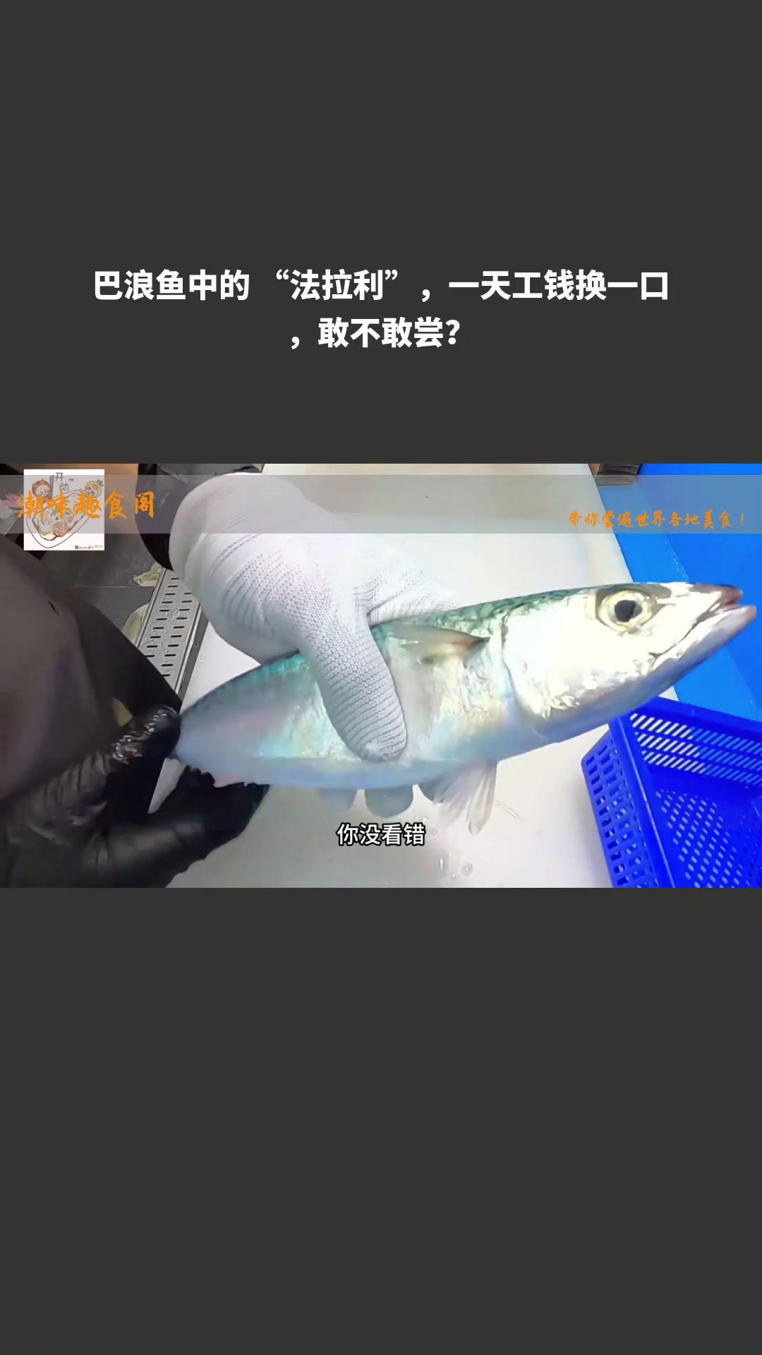 巴浪鱼中的 “法拉利”,一天工钱换一口,敢不敢尝?