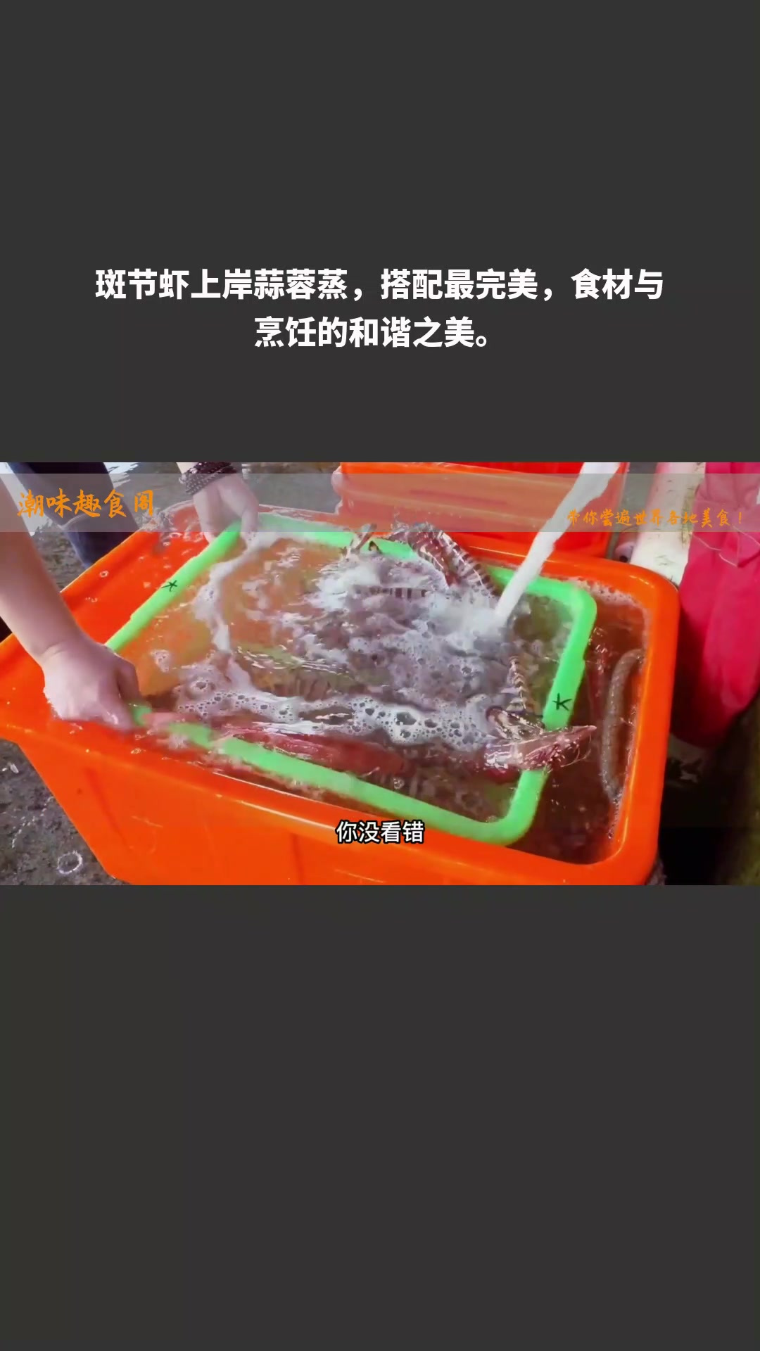 斑节虾上岸蒜蓉蒸,搭配最完美,食材与烹饪的和谐之美