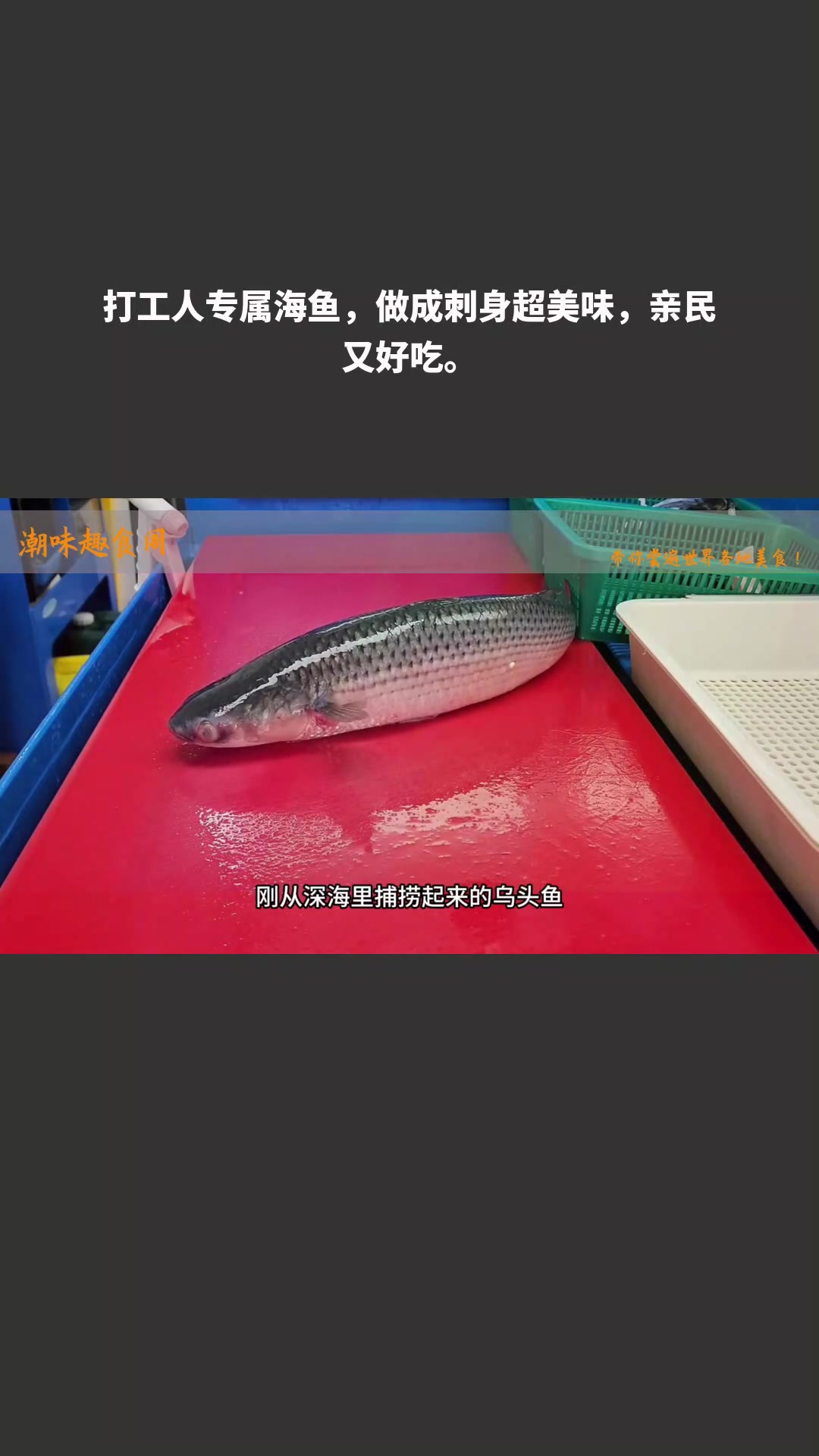 打工人专属海鱼,做成刺身超美味,亲民又好吃