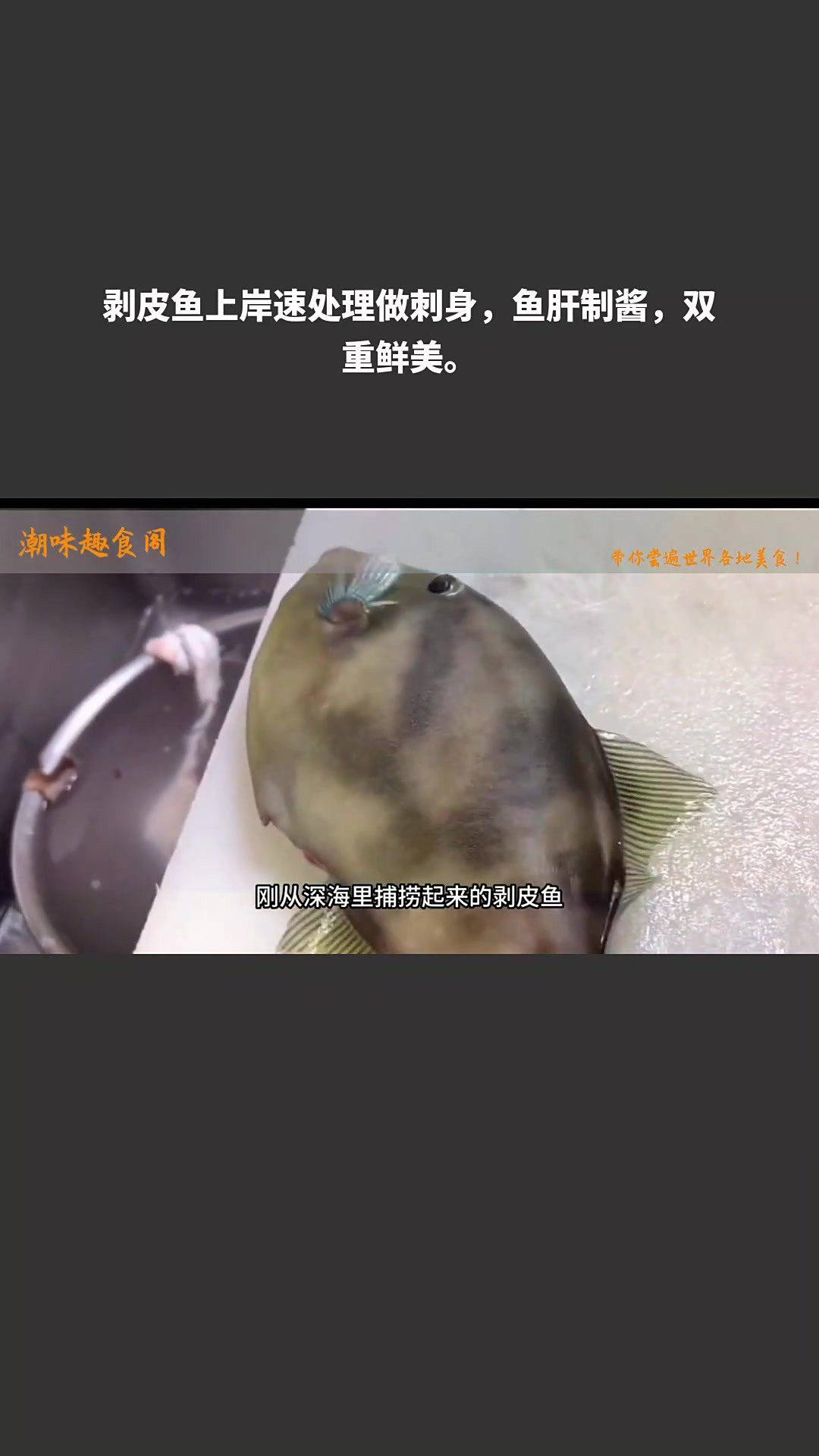 剥皮鱼上岸速处理做刺身,鱼肝制酱,双重鲜美