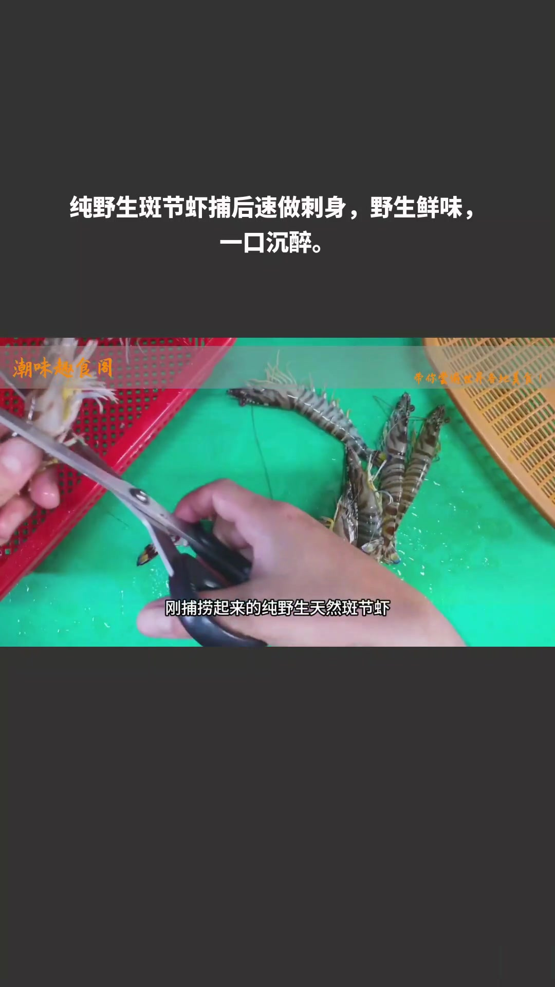 纯野生斑节虾捕后速做刺身,野生鲜味,一口沉醉