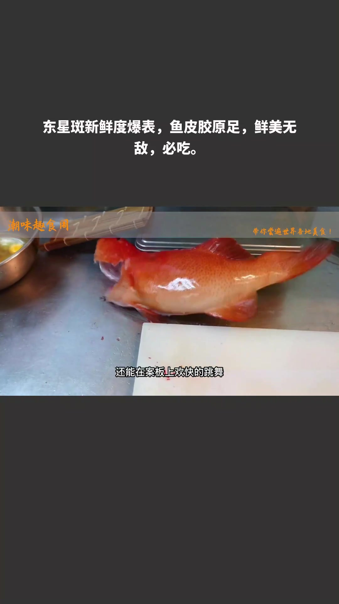 东星斑新鲜度爆表,鱼皮胶原足,鲜美无敌,必吃