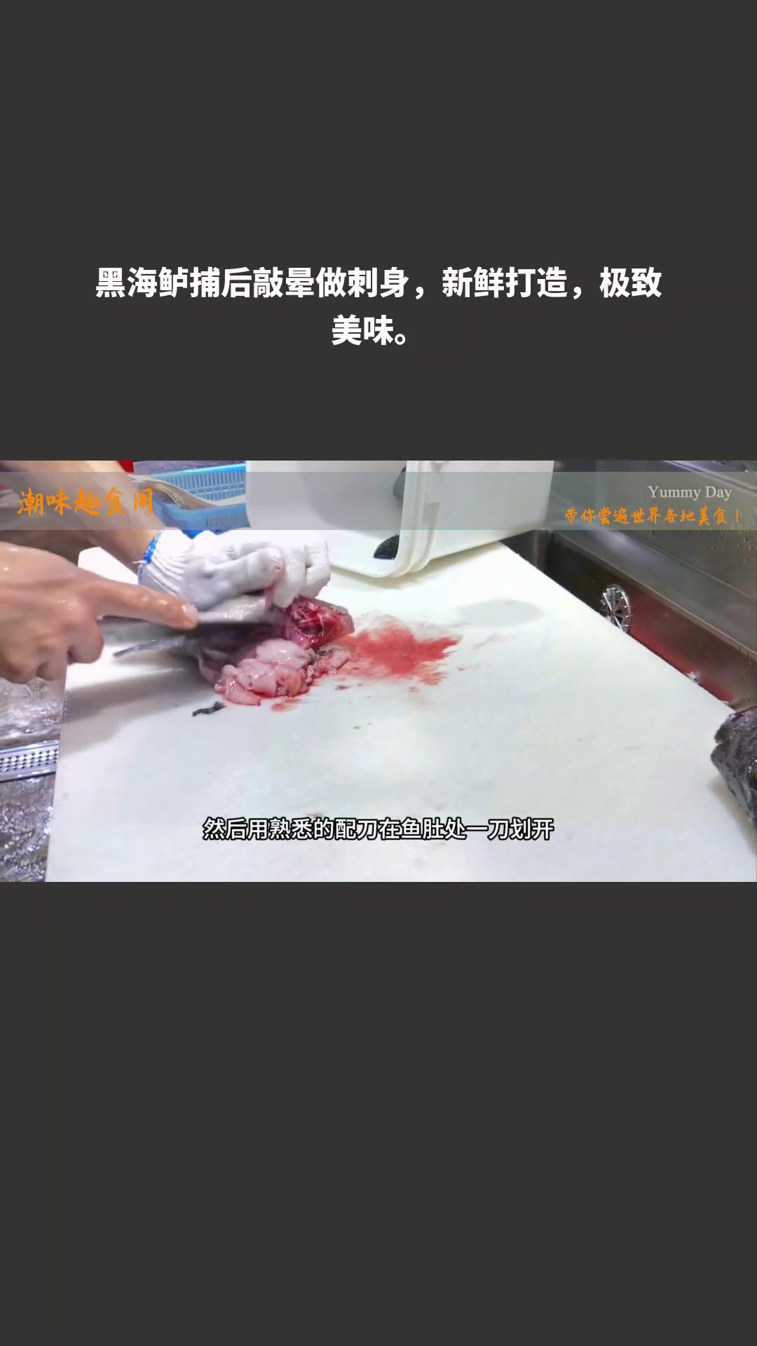 黑海鲈捕后敲晕做刺身,新鲜打造,极致美味