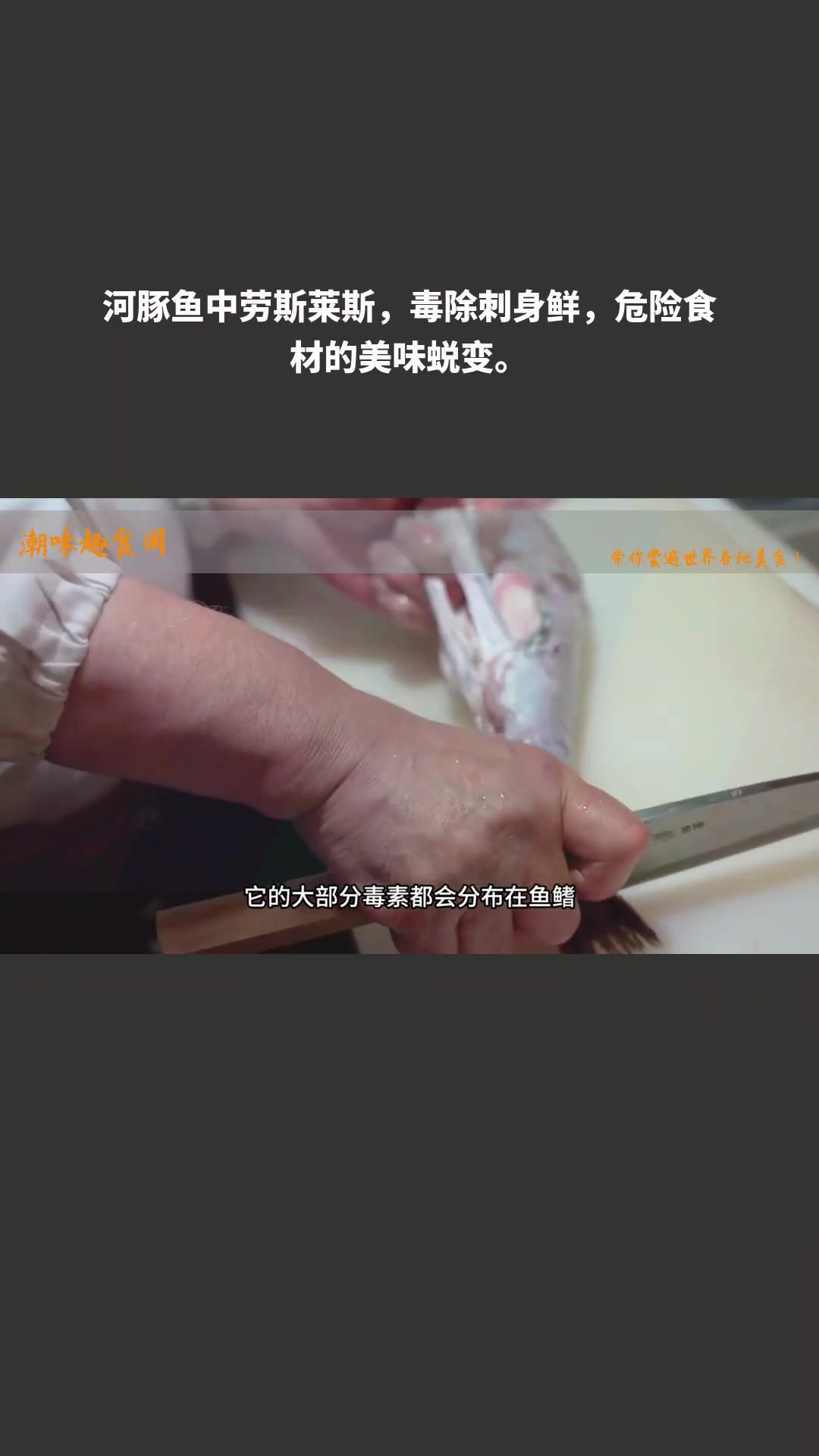 河豚鱼中劳斯莱斯,毒除刺身鲜,危险食材的美味蜕变