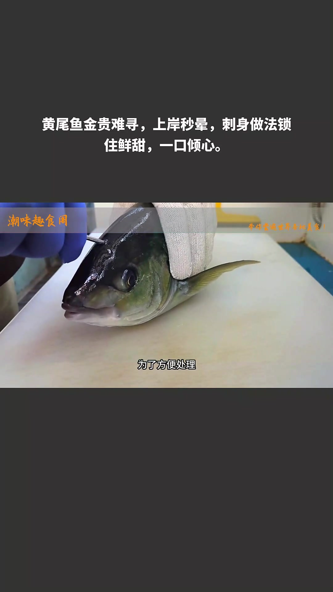 黄尾鱼金贵难寻,上岸秒晕,刺身做法锁住鲜甜,一口倾心