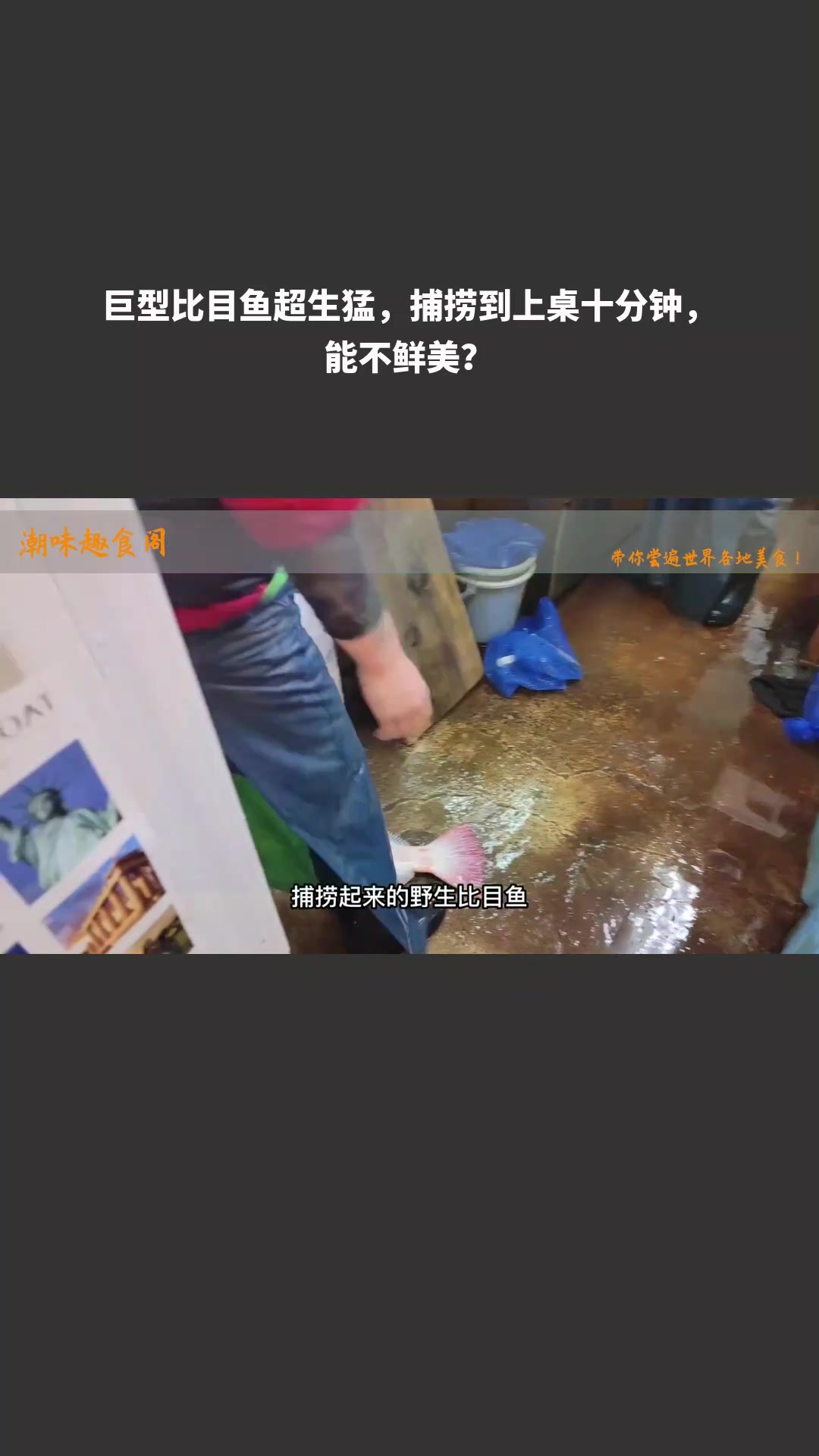 巨型比目鱼超生猛,捕捞到上桌十分钟,能不鲜美?