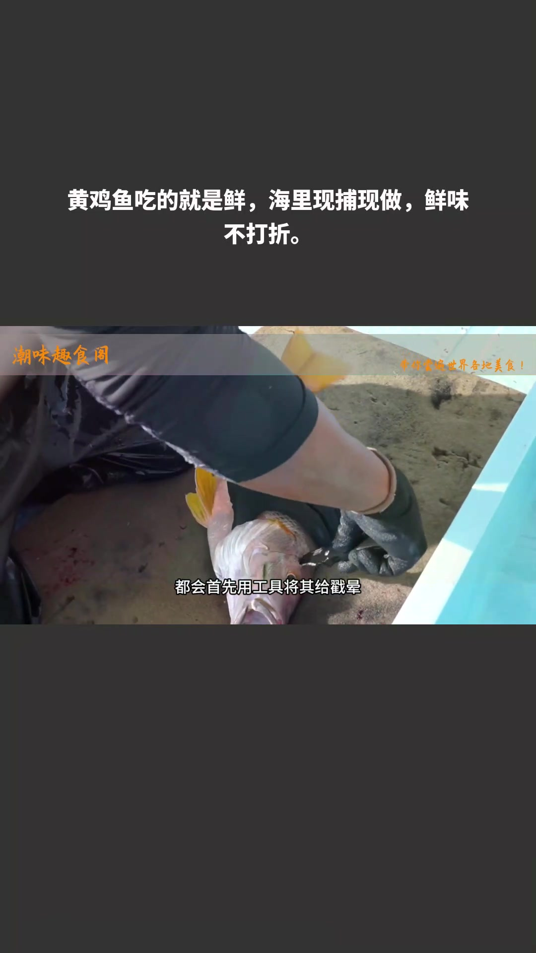 黄鸡鱼吃的就是鲜,海里现捕现做,鲜味不打折