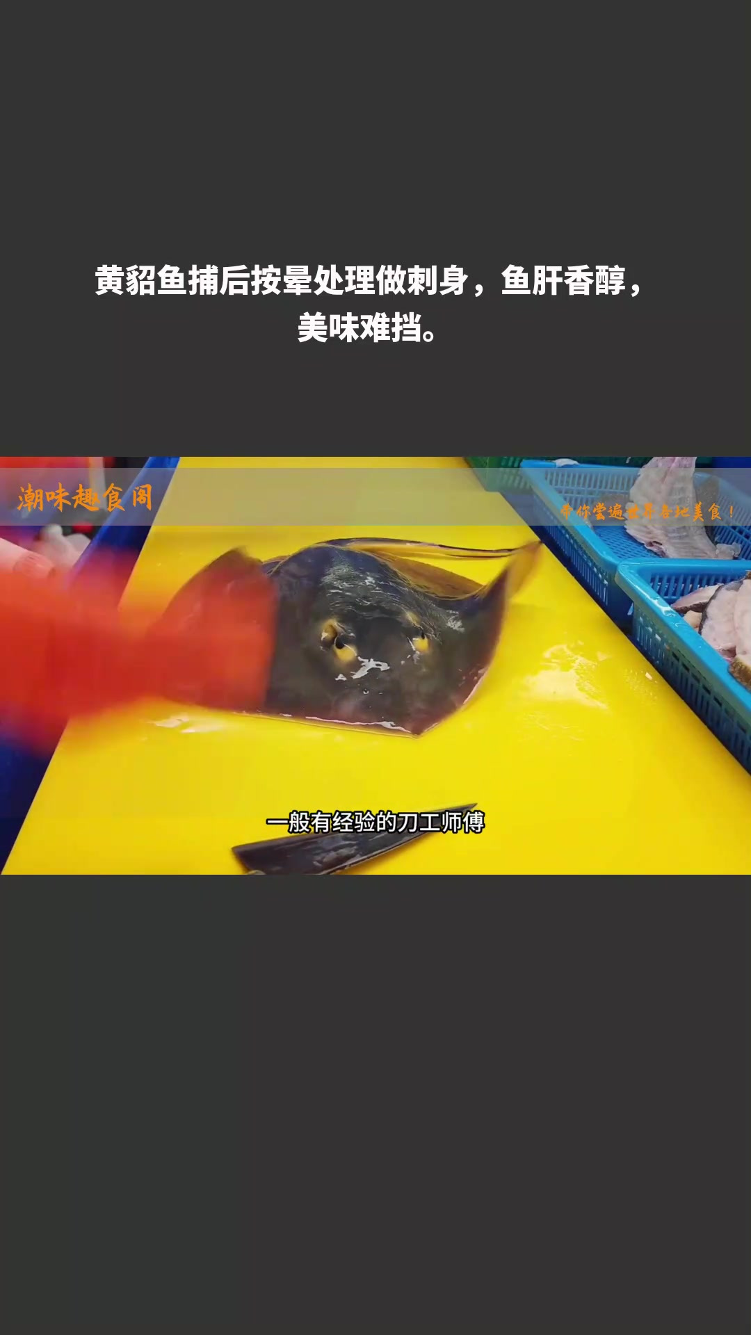 黄貂鱼捕后按晕处理做刺身,鱼肝香醇,美味难挡