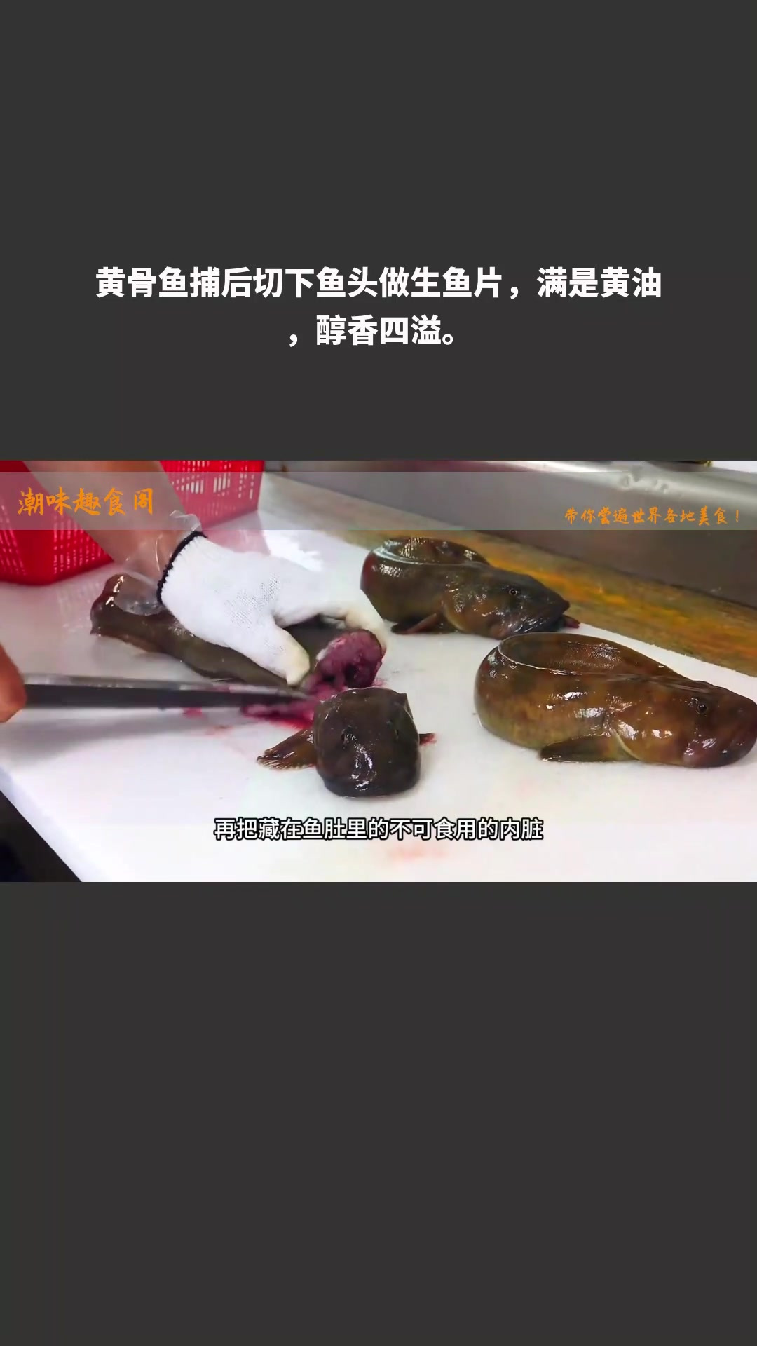 黄骨鱼捕后切下鱼头做生鱼片,满是黄油,醇香四溢