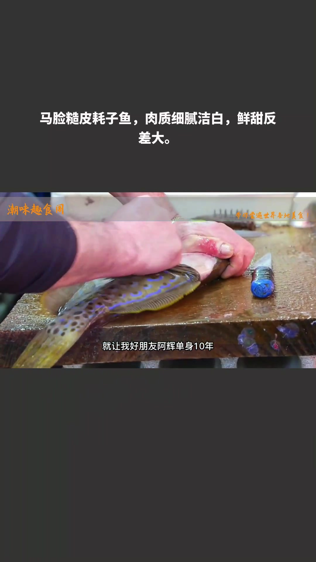 马脸糙皮耗子鱼,肉质细腻洁白,鲜甜反差大