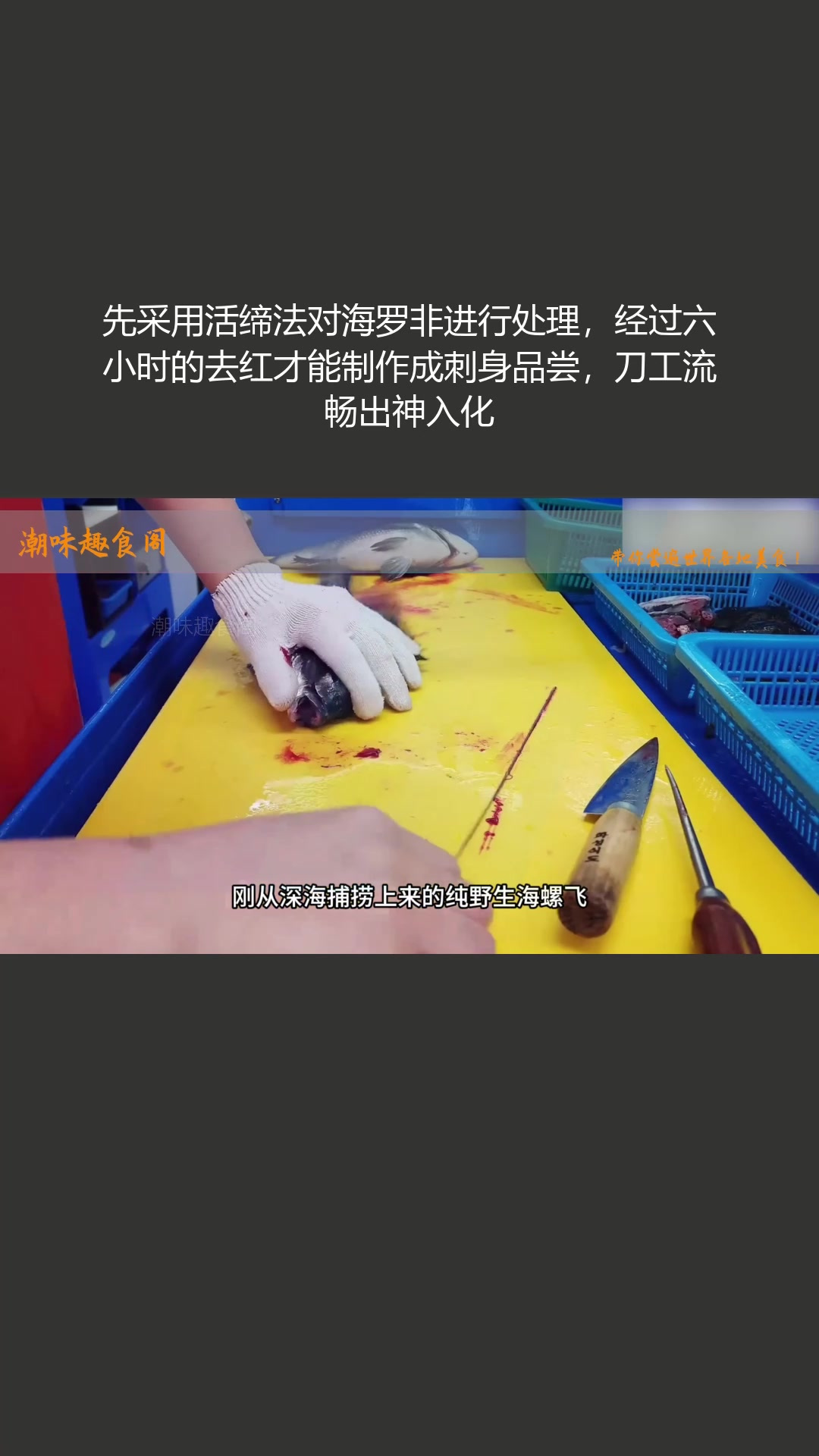 活缔法处理海罗非,六小时去红后做刺身