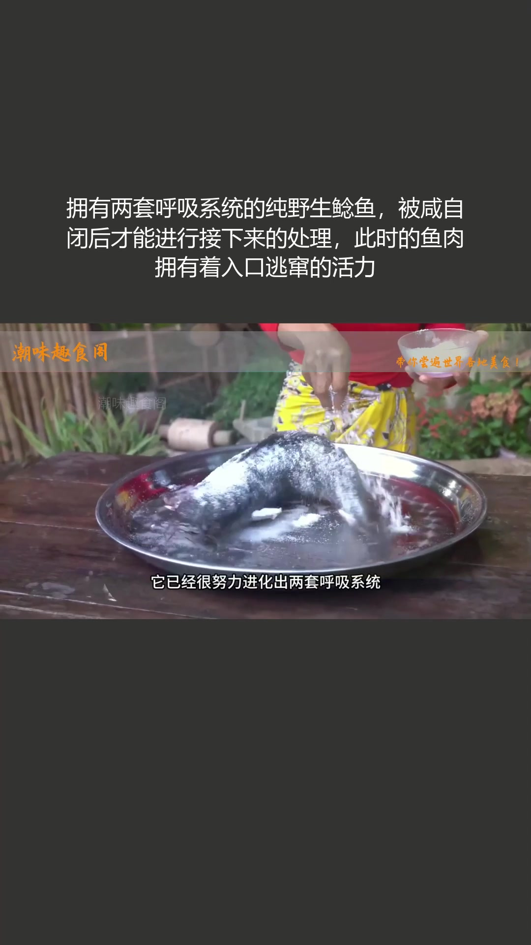 拥有两套呼吸系统的纯野生鲶鱼,咸自闭后处理,肉鲜