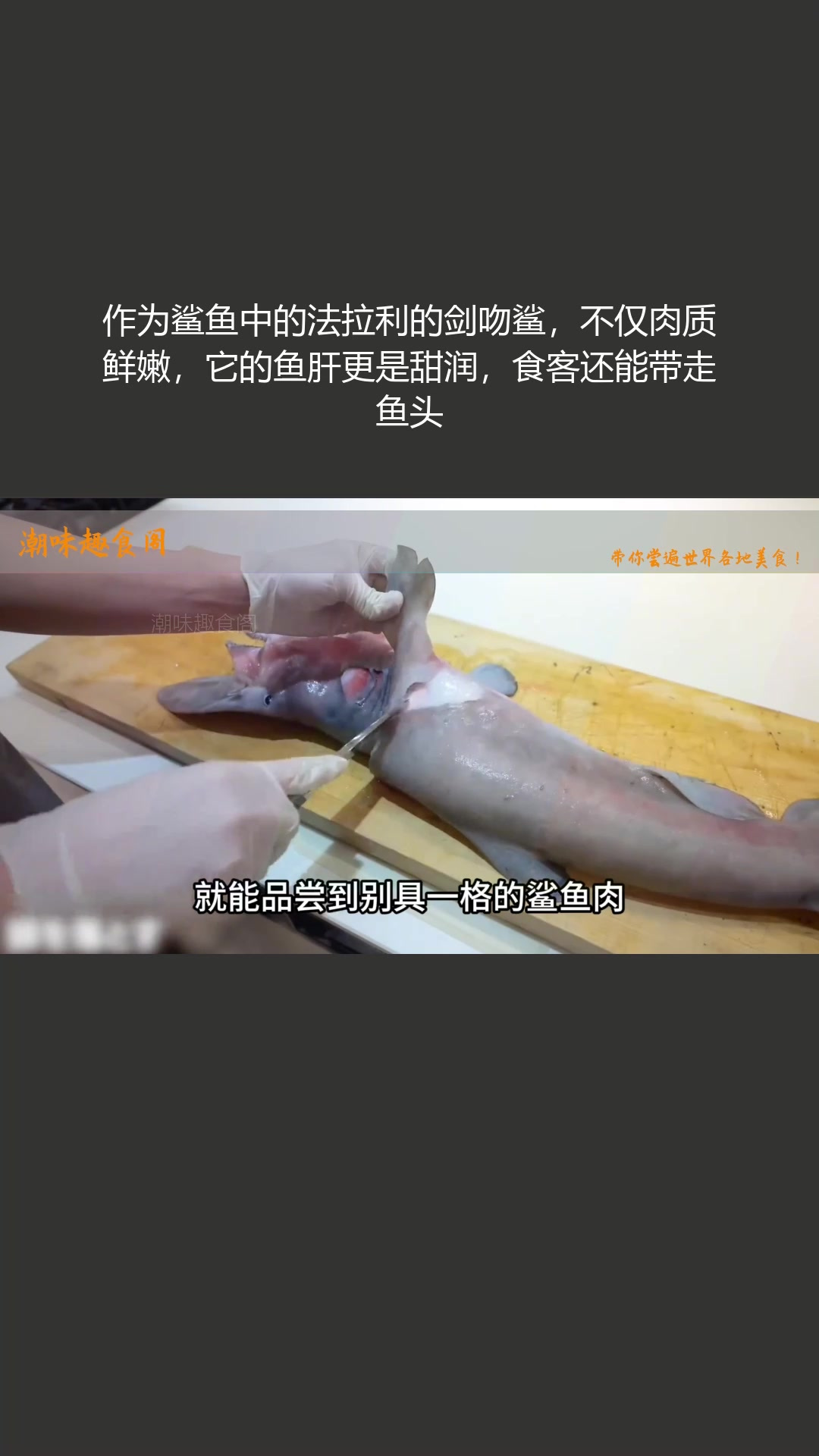 剑吻鲨如鲨鱼中的法拉利,肉质与鱼肝皆美味