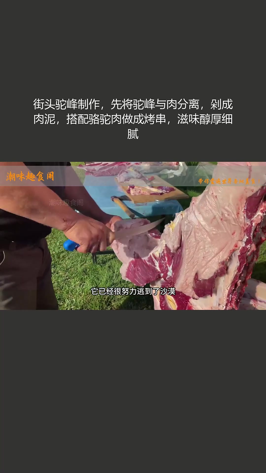 街头驼峰与肉分离剁泥,配骆驼肉做烤串,醇厚