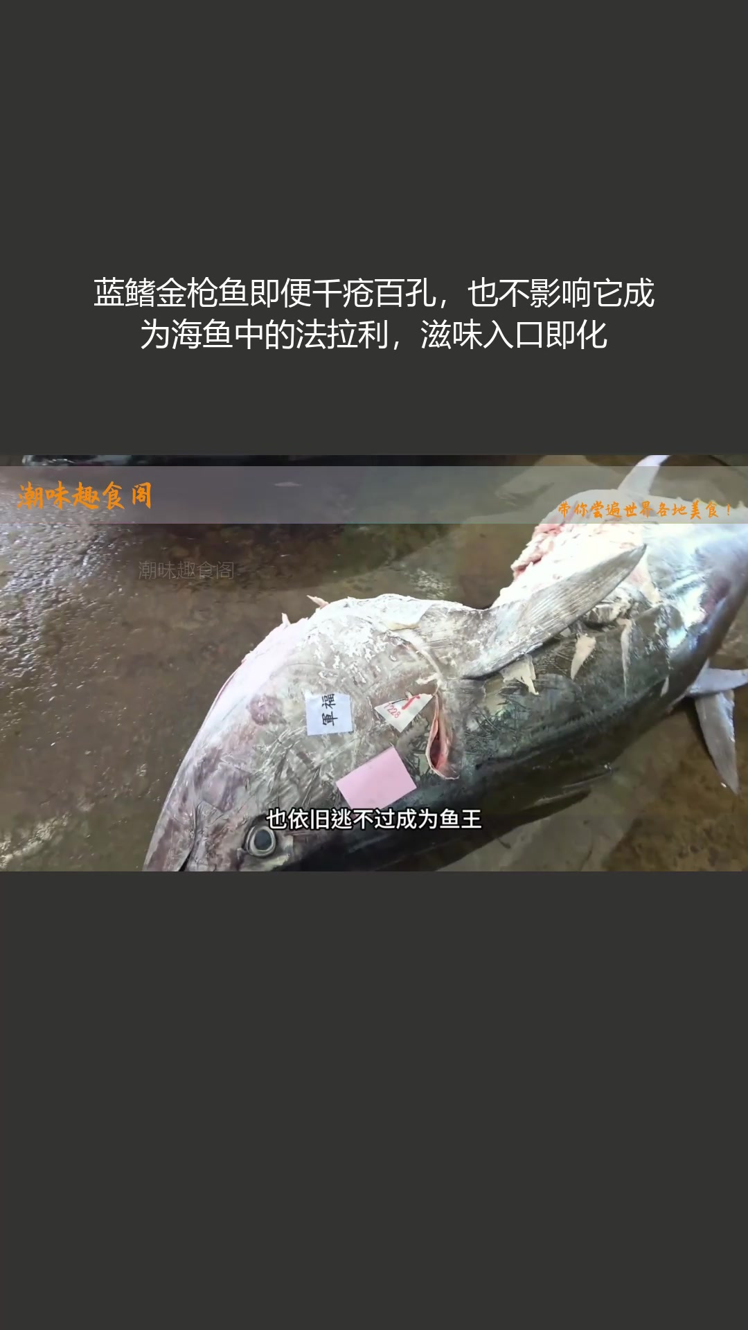 蓝鳍金枪鱼即便有瑕疵,仍堪称海鱼中的 “法拉利”