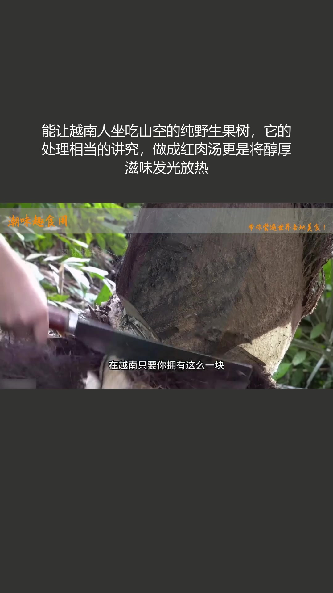 越南纯野生果树处理讲究,做成红肉汤滋味醇厚