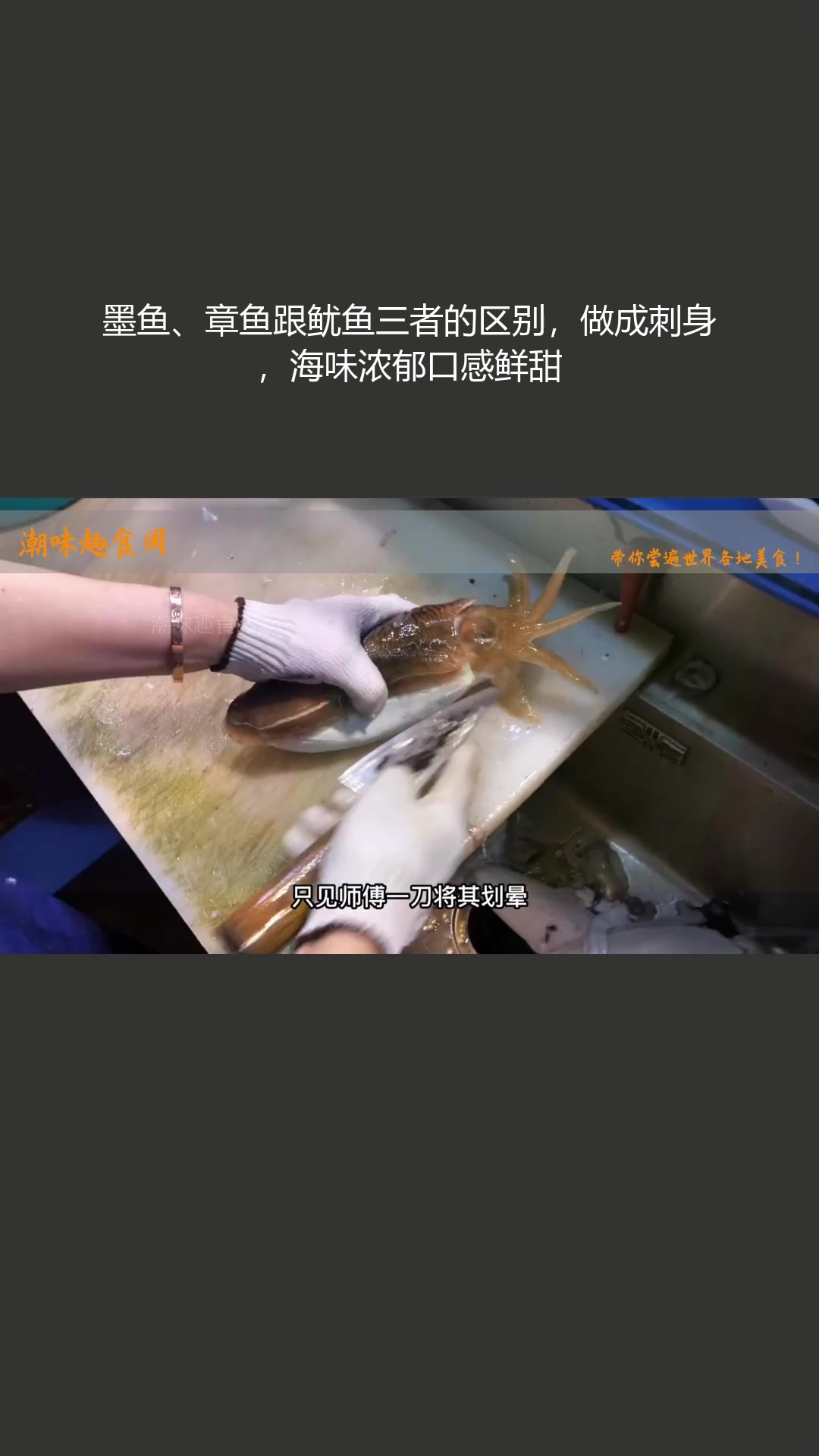 墨鱼、章鱼、鱿鱼做成刺身,区别在哪